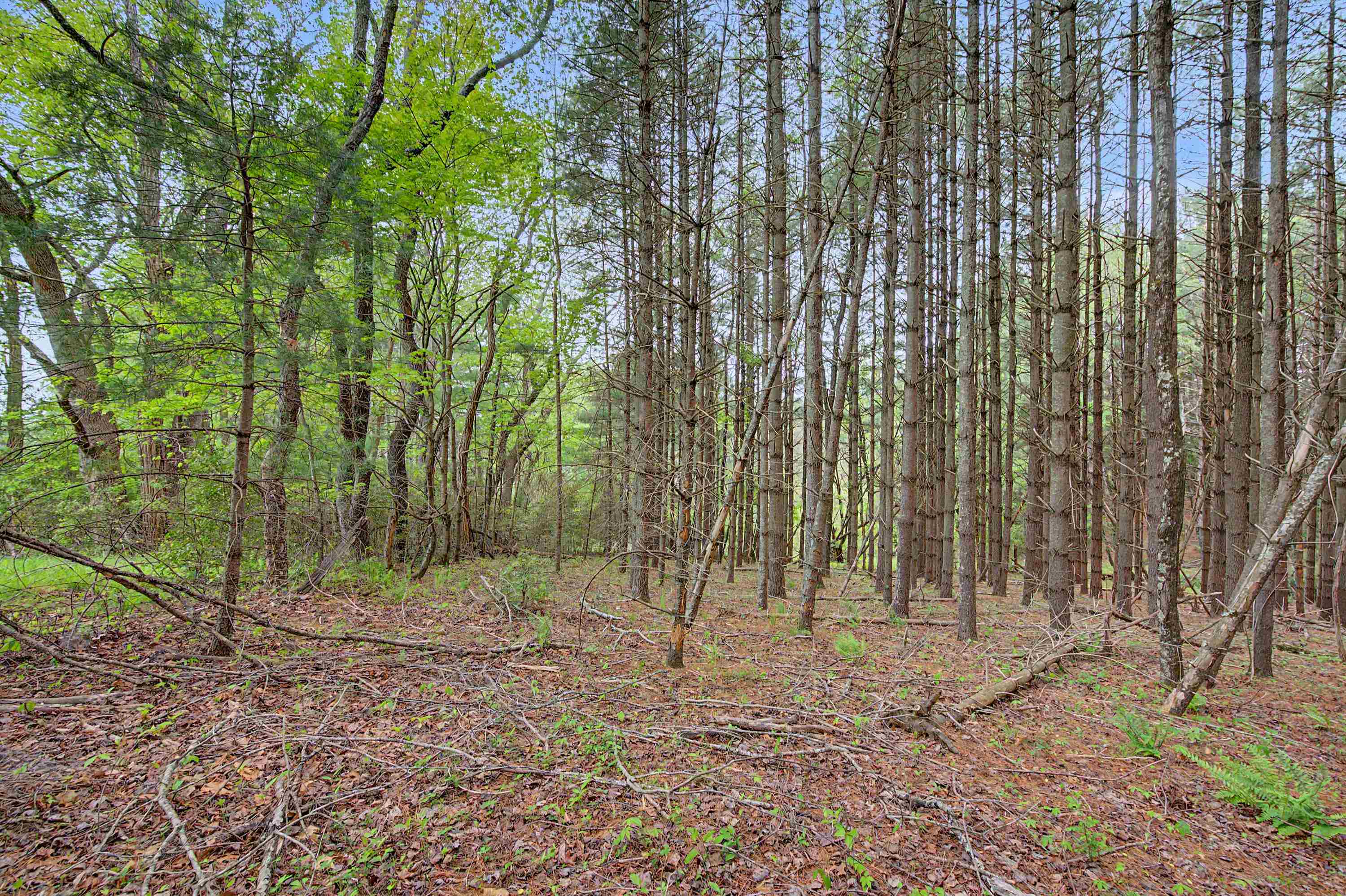 3.736 Ac Rocky Hill Road Willis VA 24380