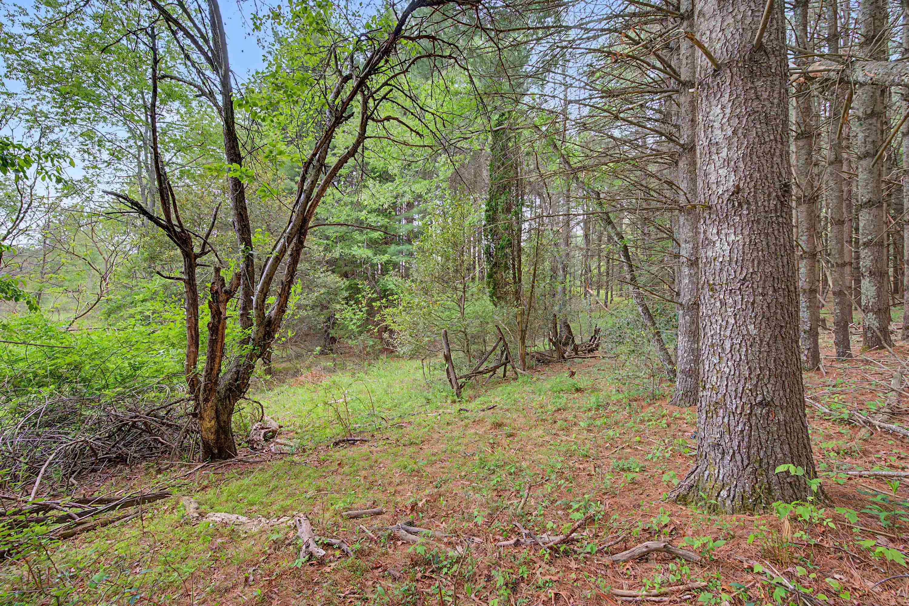 3.736 Ac Rocky Hill Road Willis VA 24380