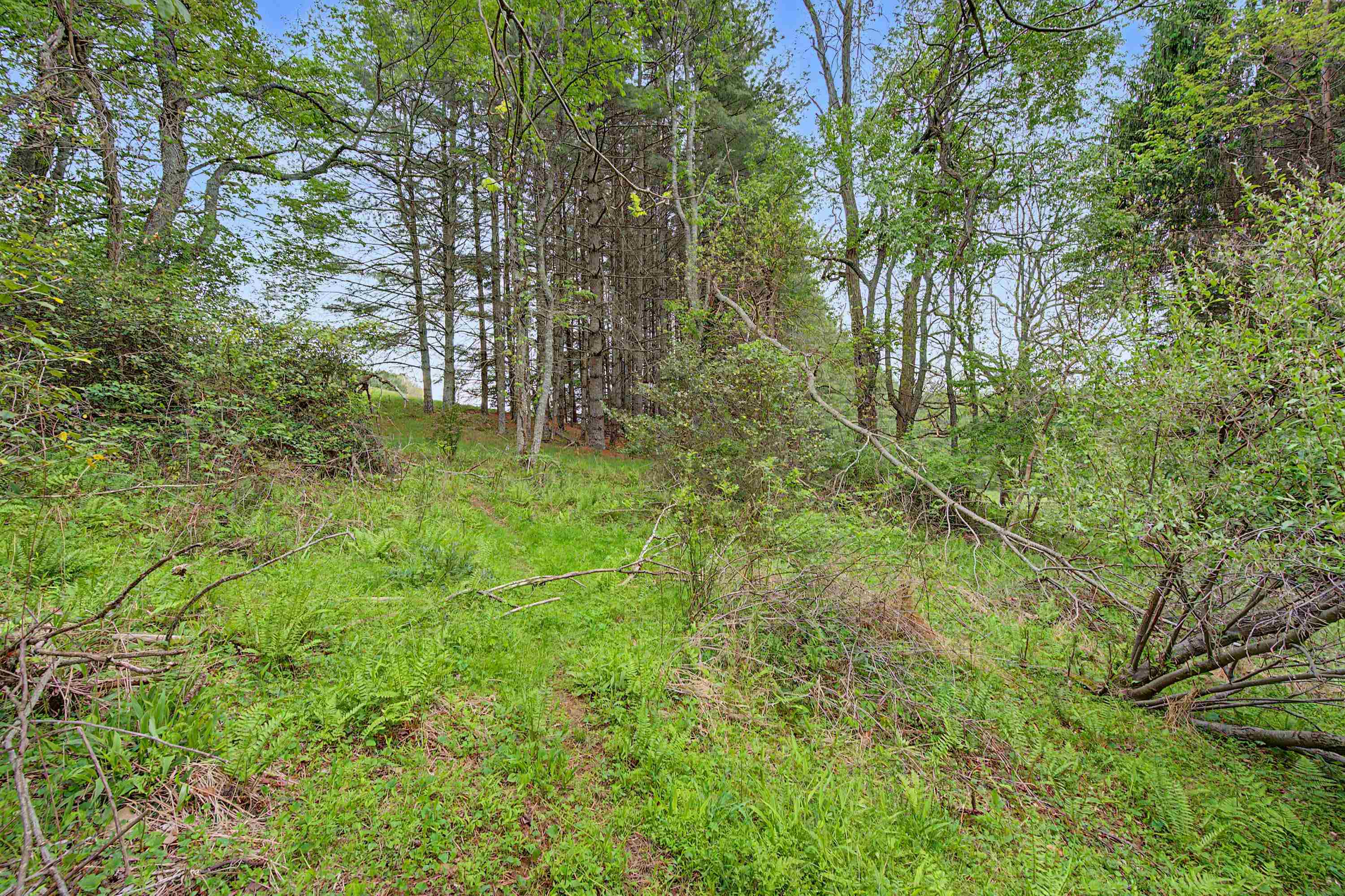 3.736 Ac Rocky Hill Road Willis VA 24380
