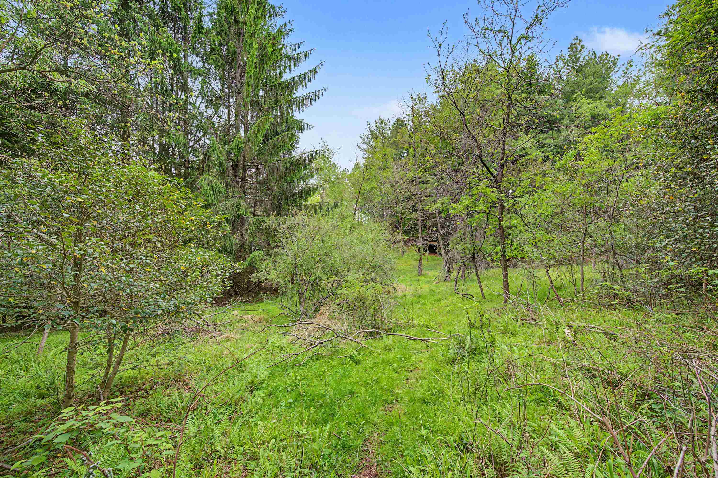 3.736 Ac Rocky Hill Road Willis VA 24380