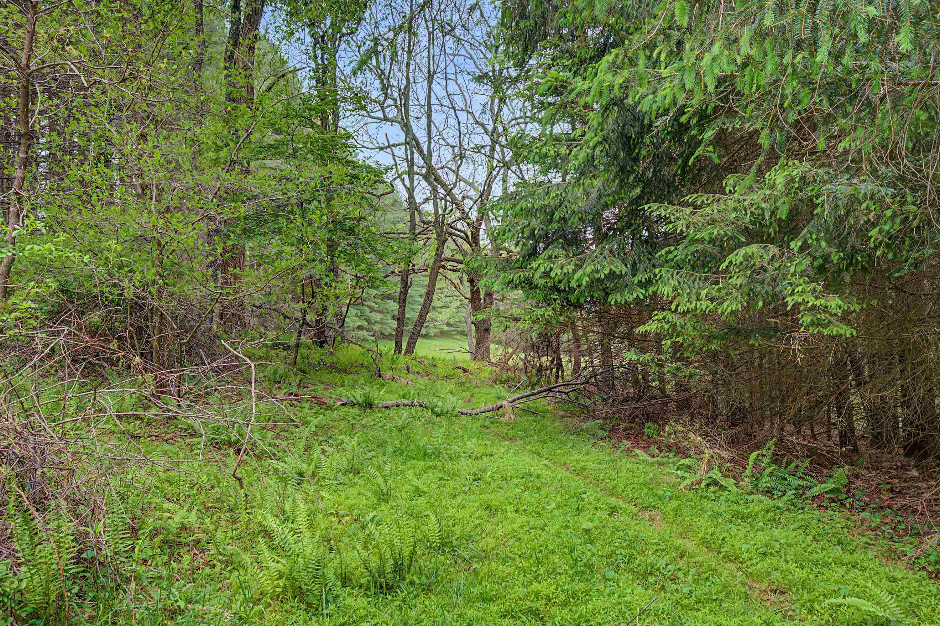 3.736 Ac Rocky Hill Road Willis VA 24380