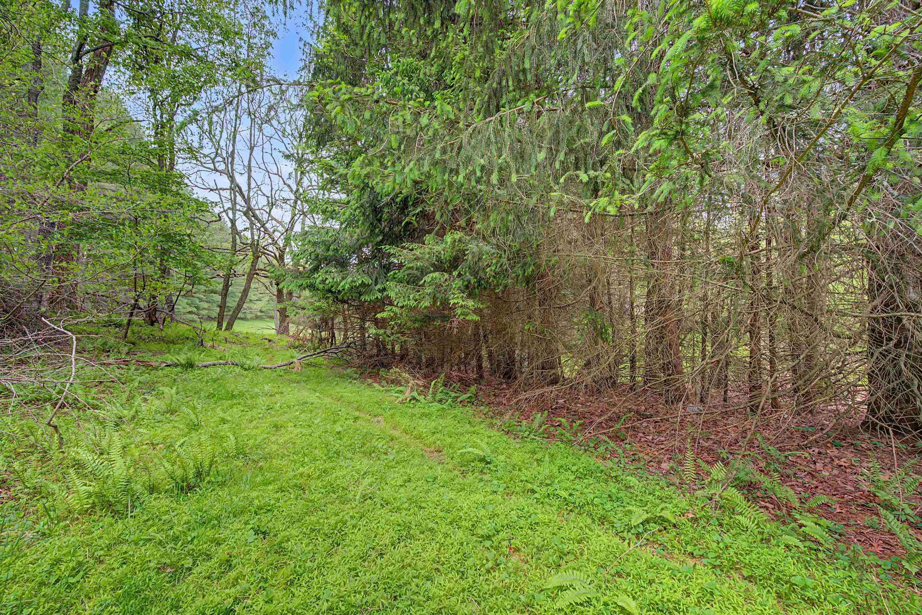 3.736 Ac Rocky Hill Road Willis VA 24380
