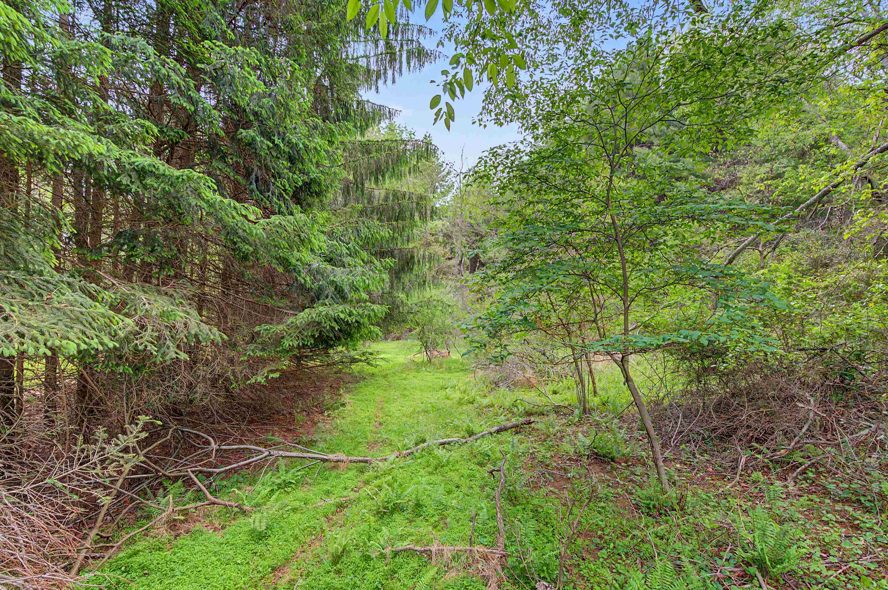 3.736 Ac Rocky Hill Road Willis VA 24380