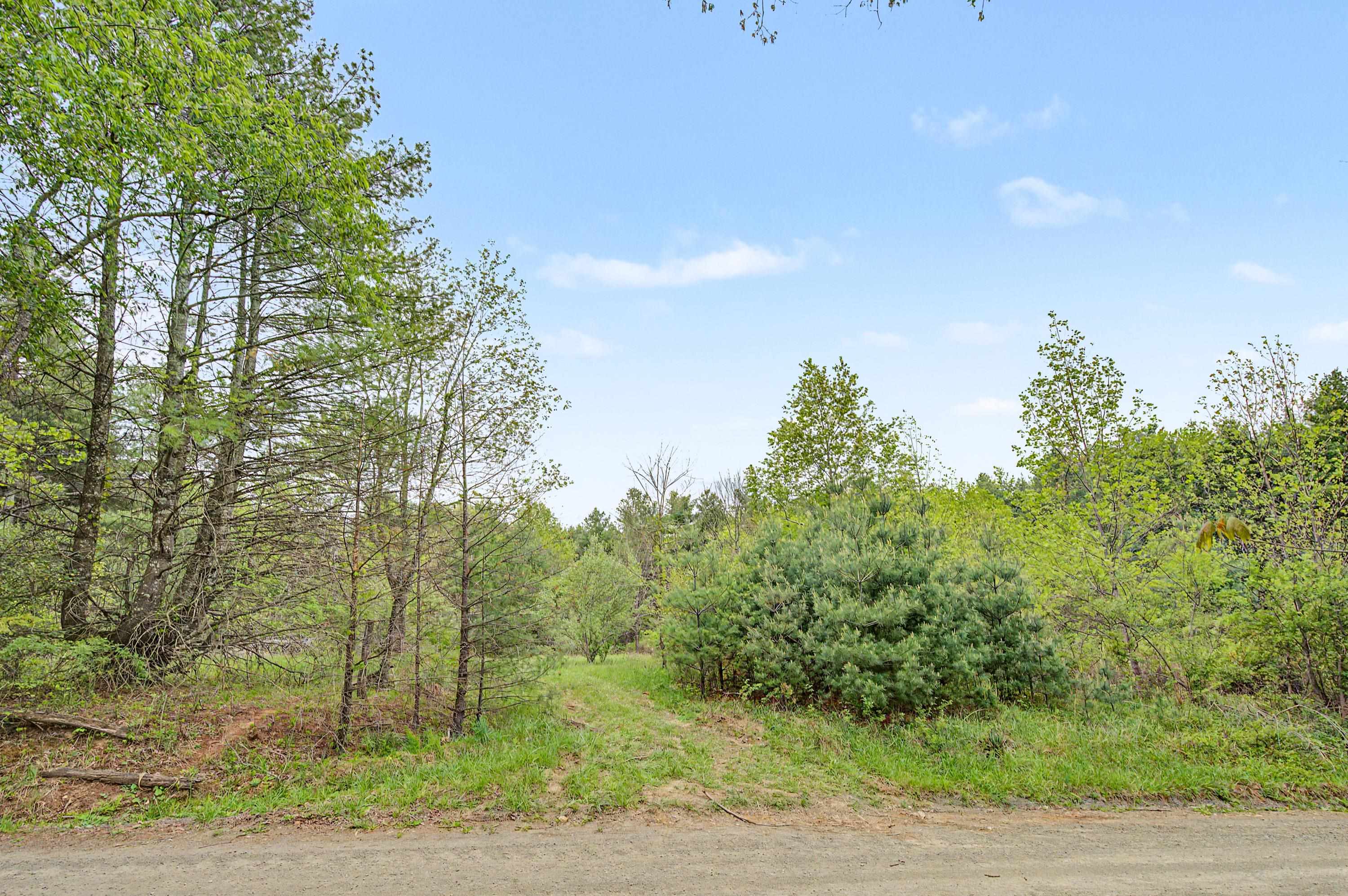 3.736 Ac Rocky Hill Road Willis VA 24380