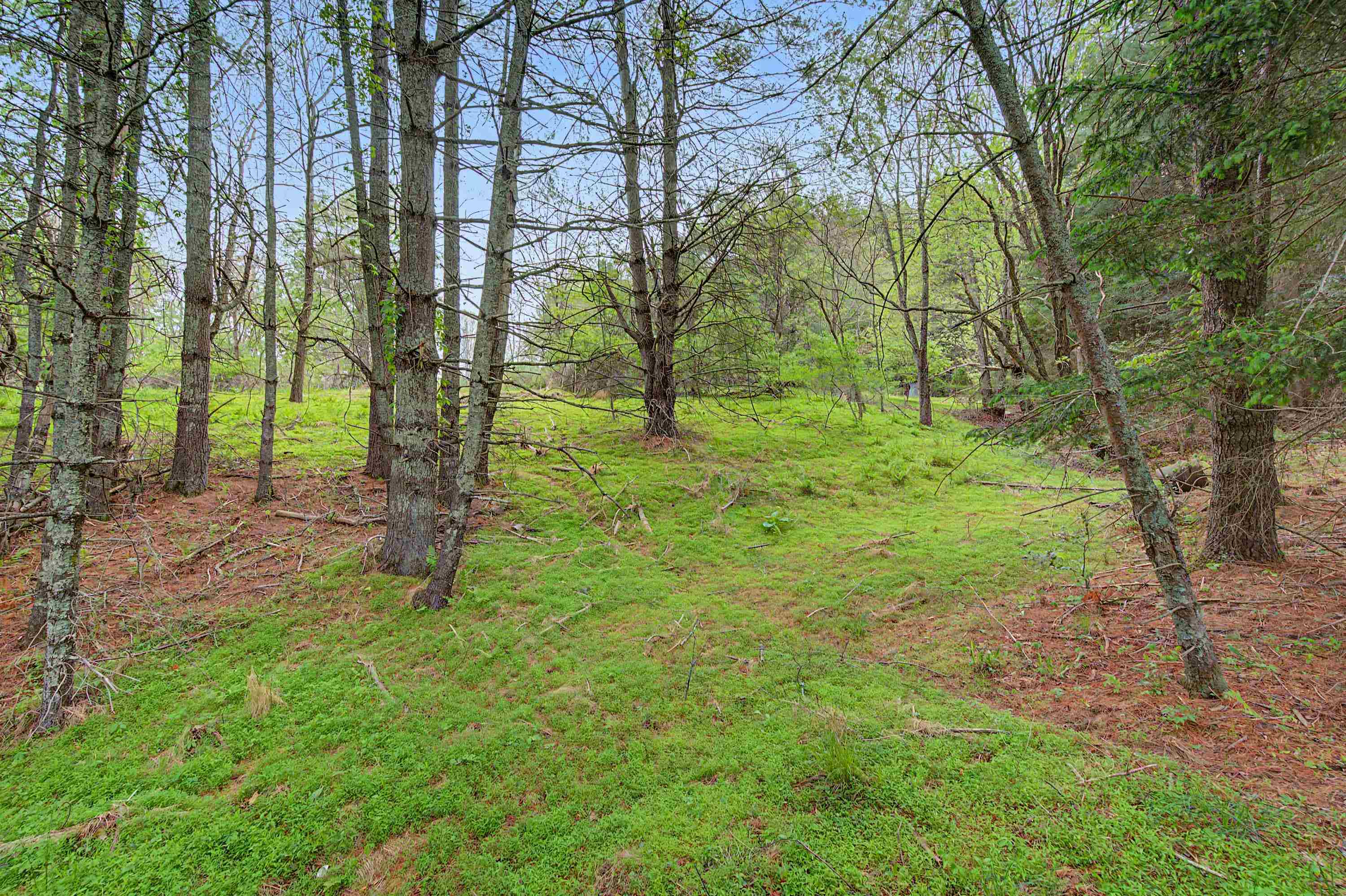 3.736 Ac Rocky Hill Road Willis VA 24380