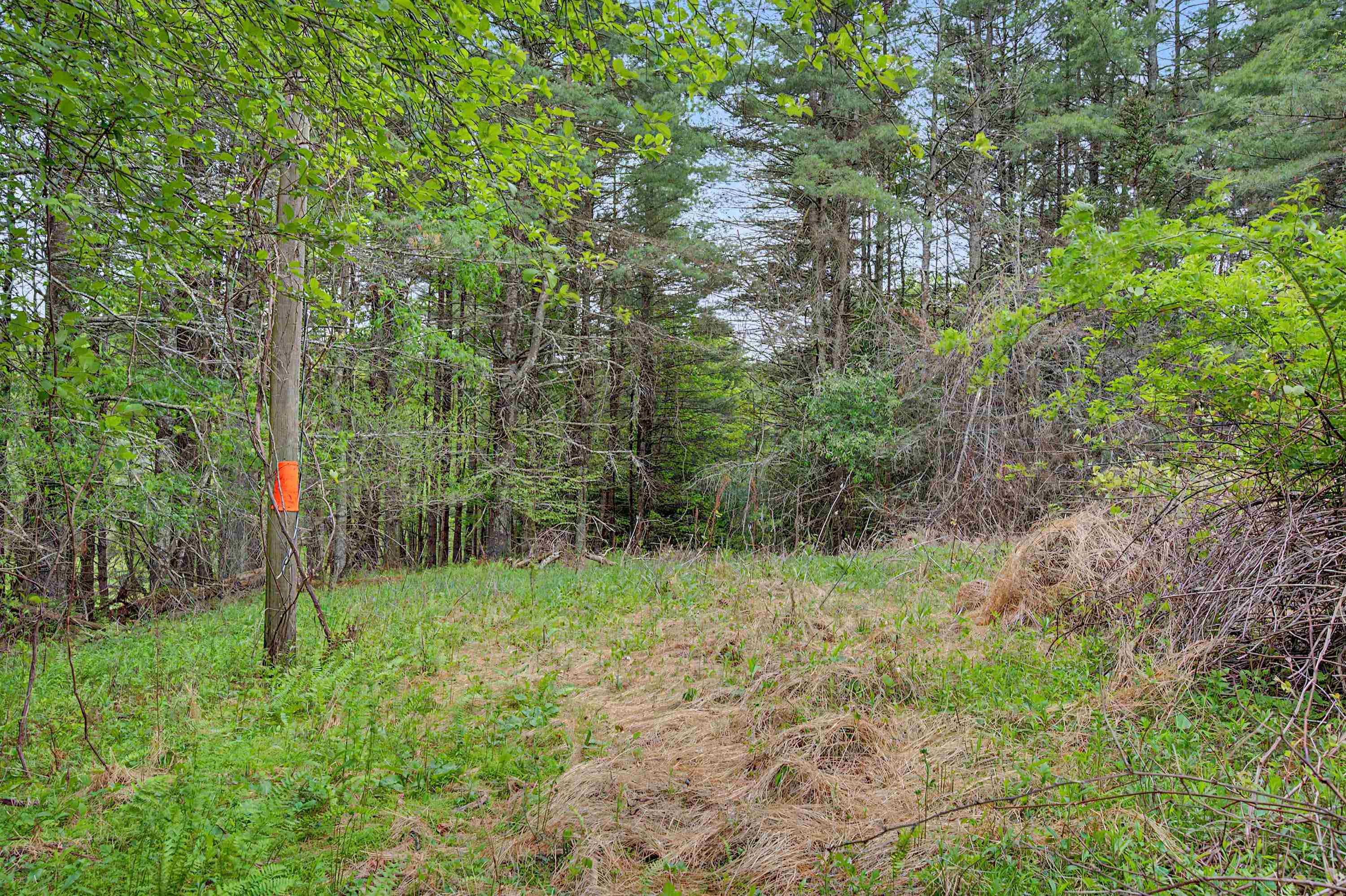 3.736 Ac Rocky Hill Road Willis VA 24380