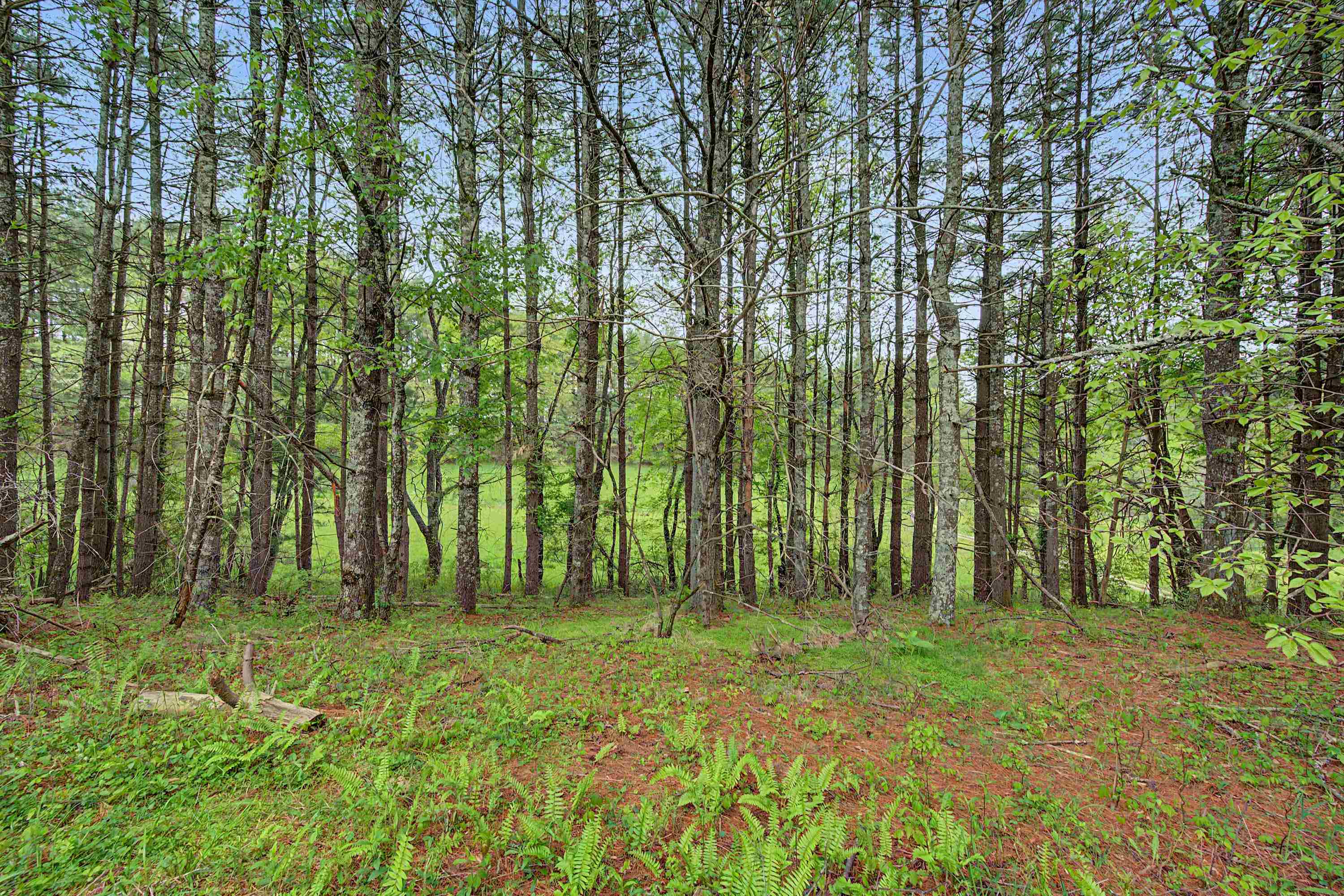 3.736 Ac Rocky Hill Road Willis VA 24380