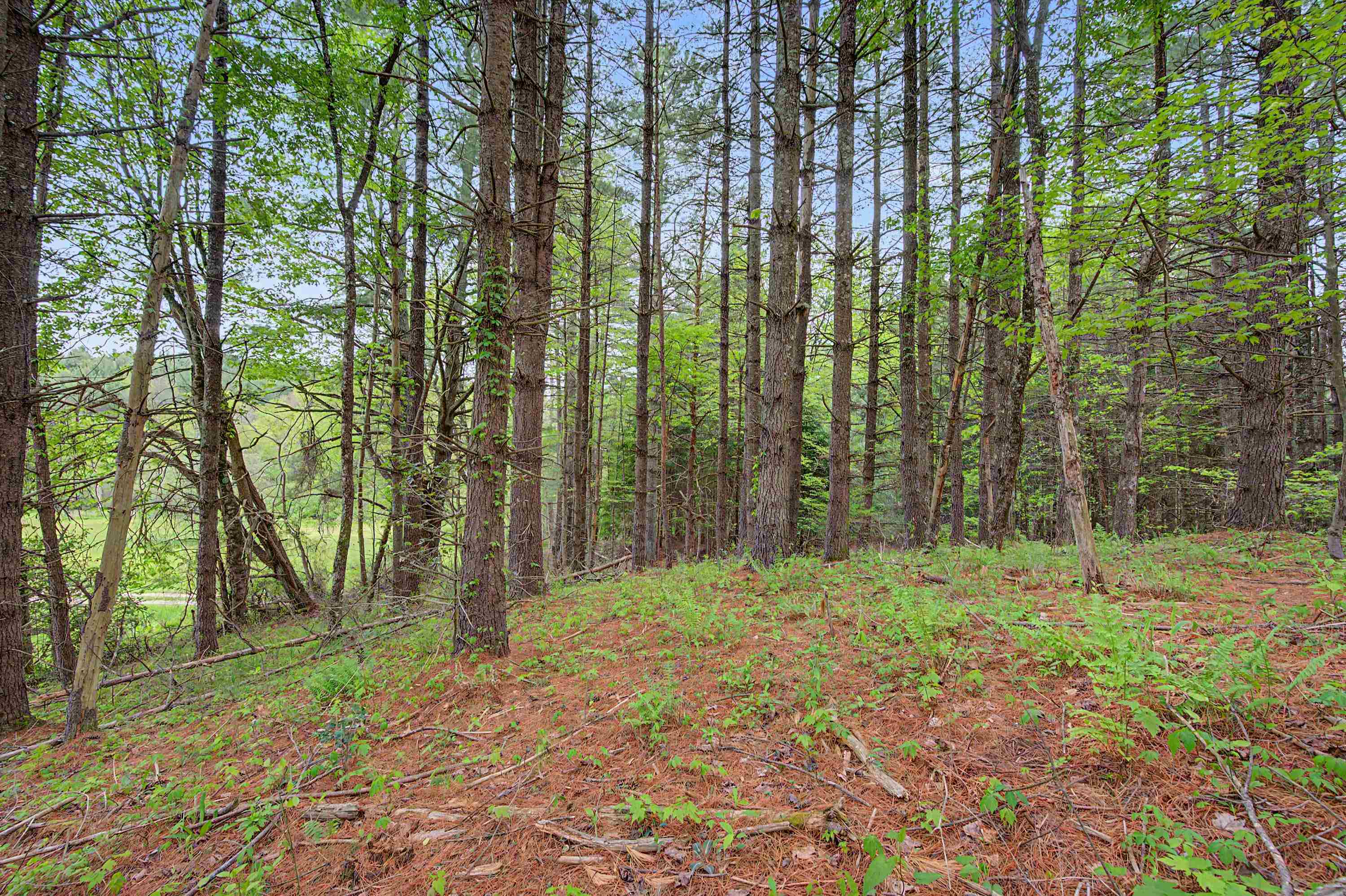 3.736 Ac Rocky Hill Road Willis VA 24380