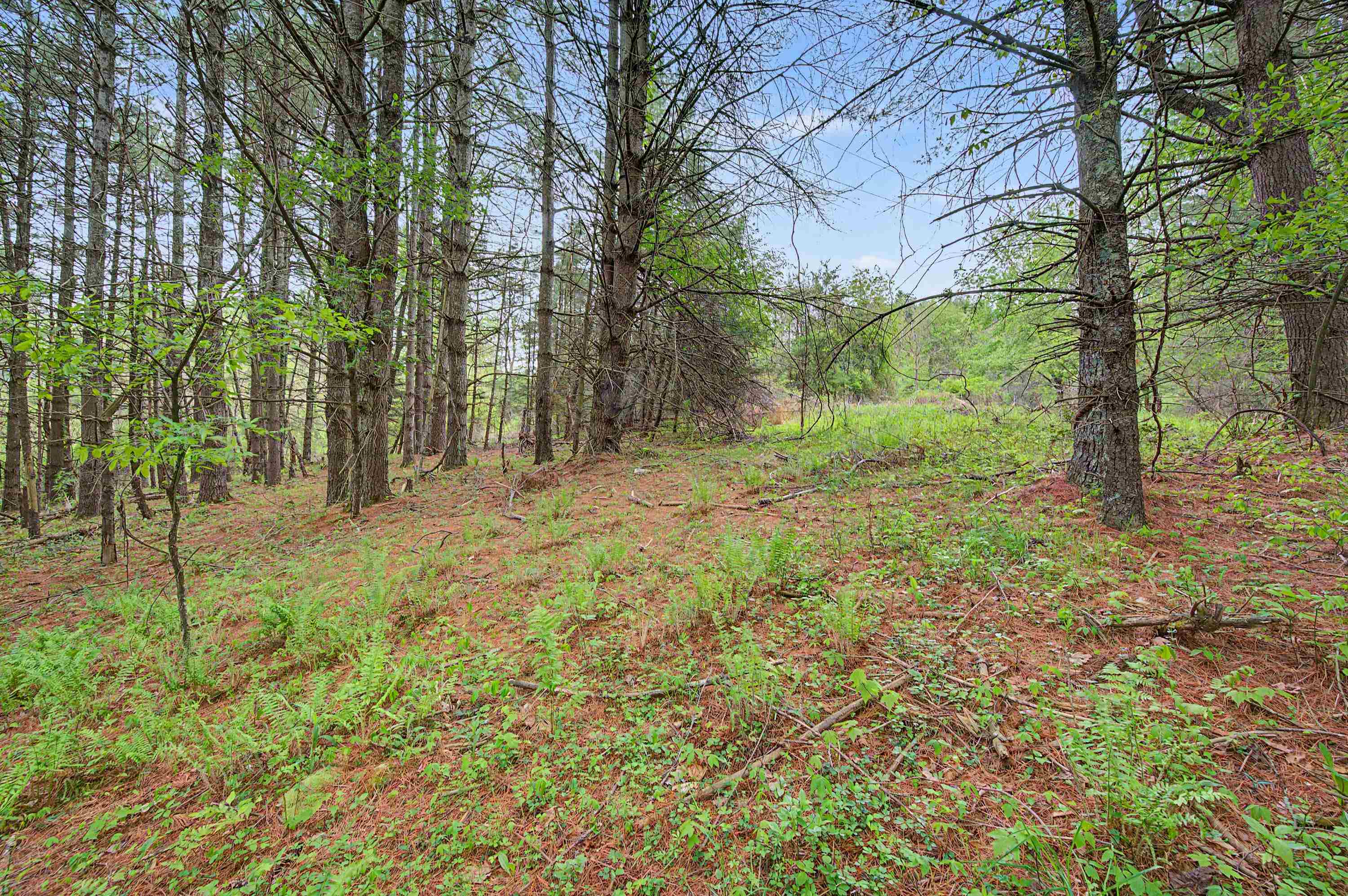 3.736 Ac Rocky Hill Road Willis VA 24380