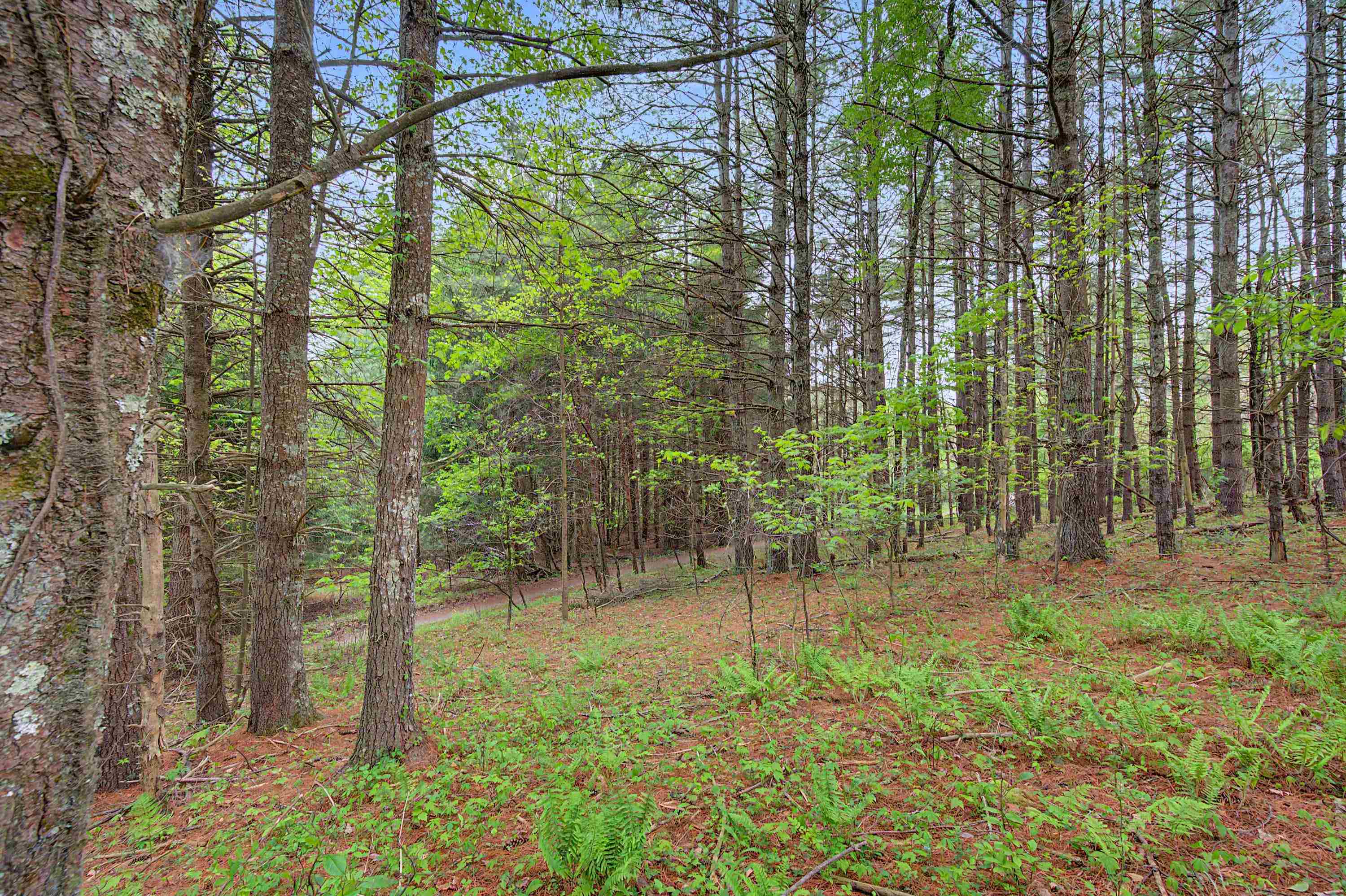 3.736 Ac Rocky Hill Road Willis VA 24380