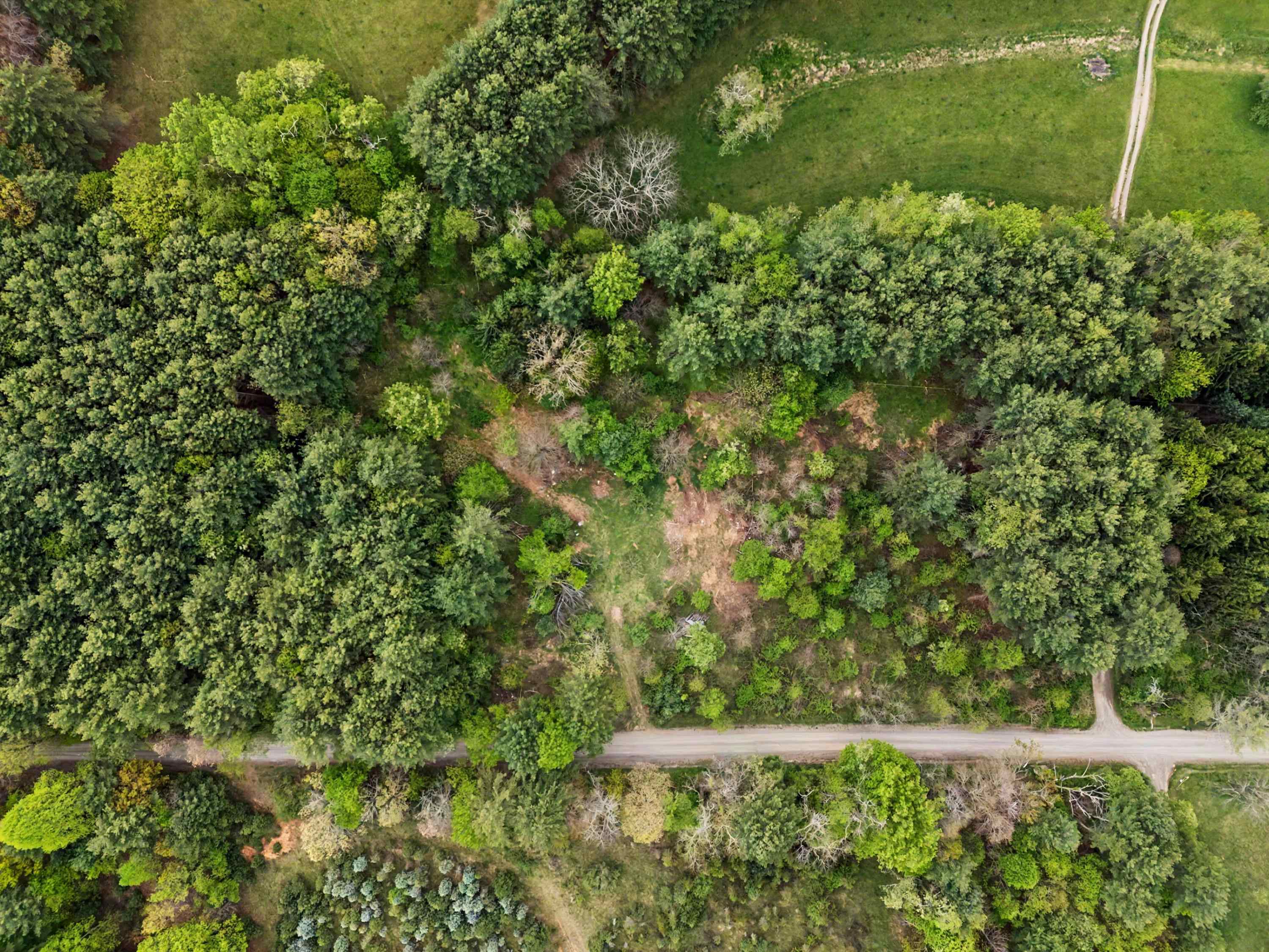 3.736 Ac Rocky Hill Road Willis VA 24380