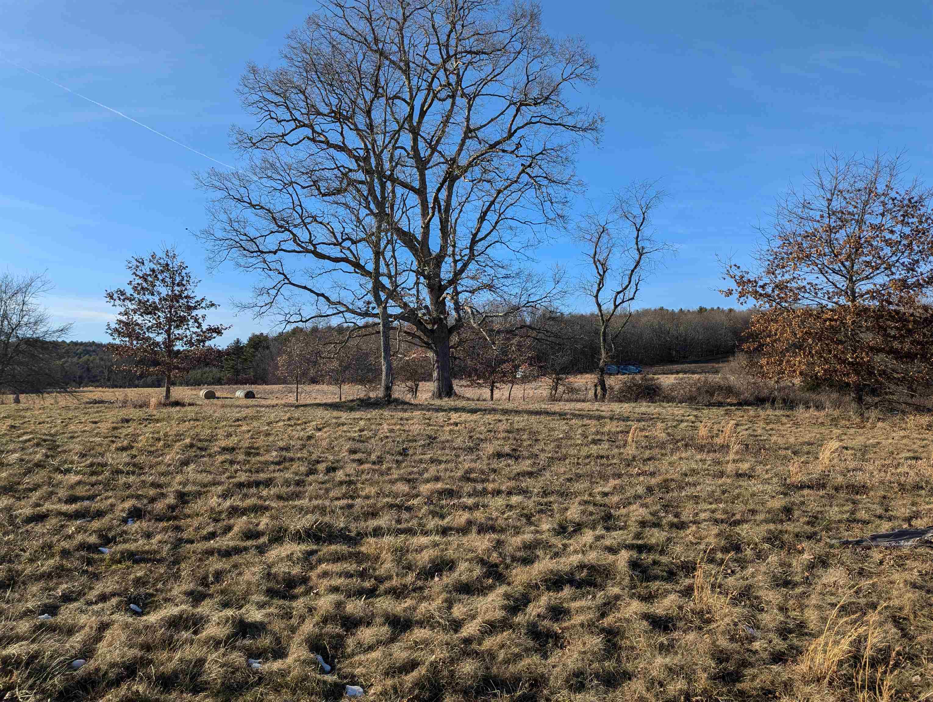 Tbd Firehouse Road Willis VA 24380