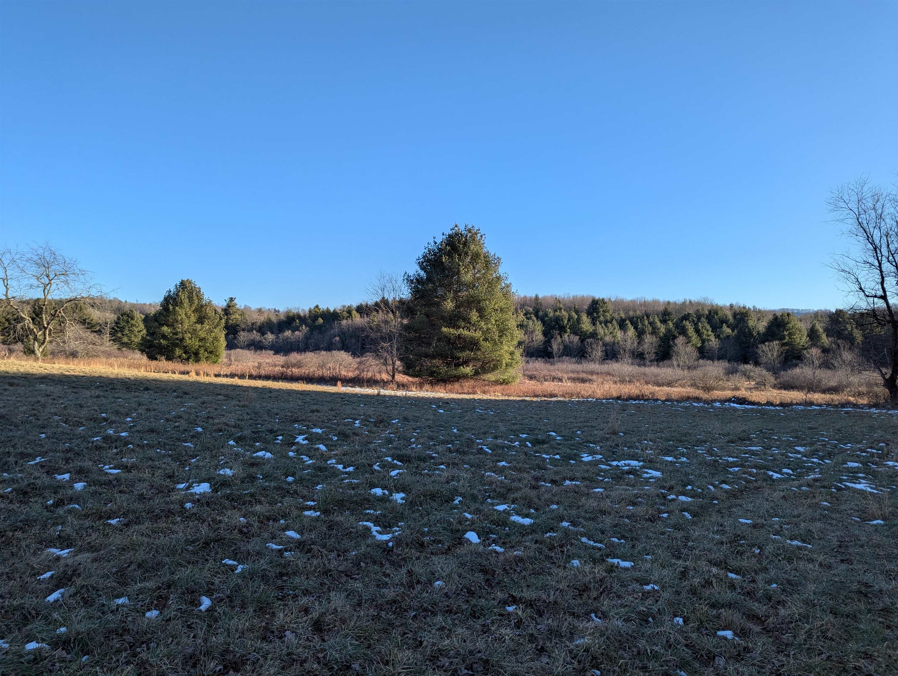 Tbd Firehouse Road Willis VA 24380