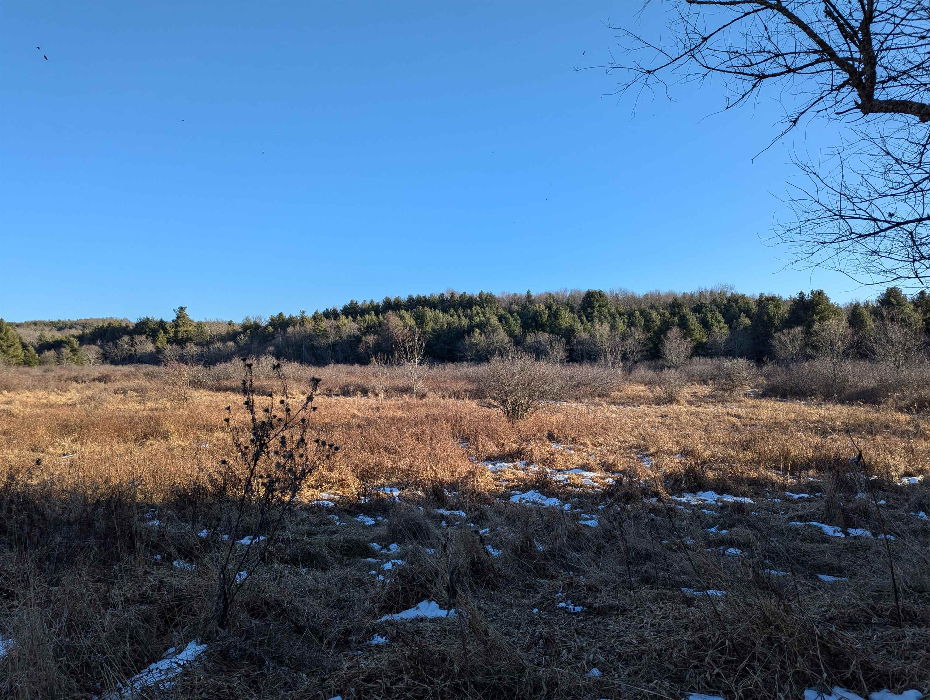 Tbd Firehouse Road Willis VA 24380