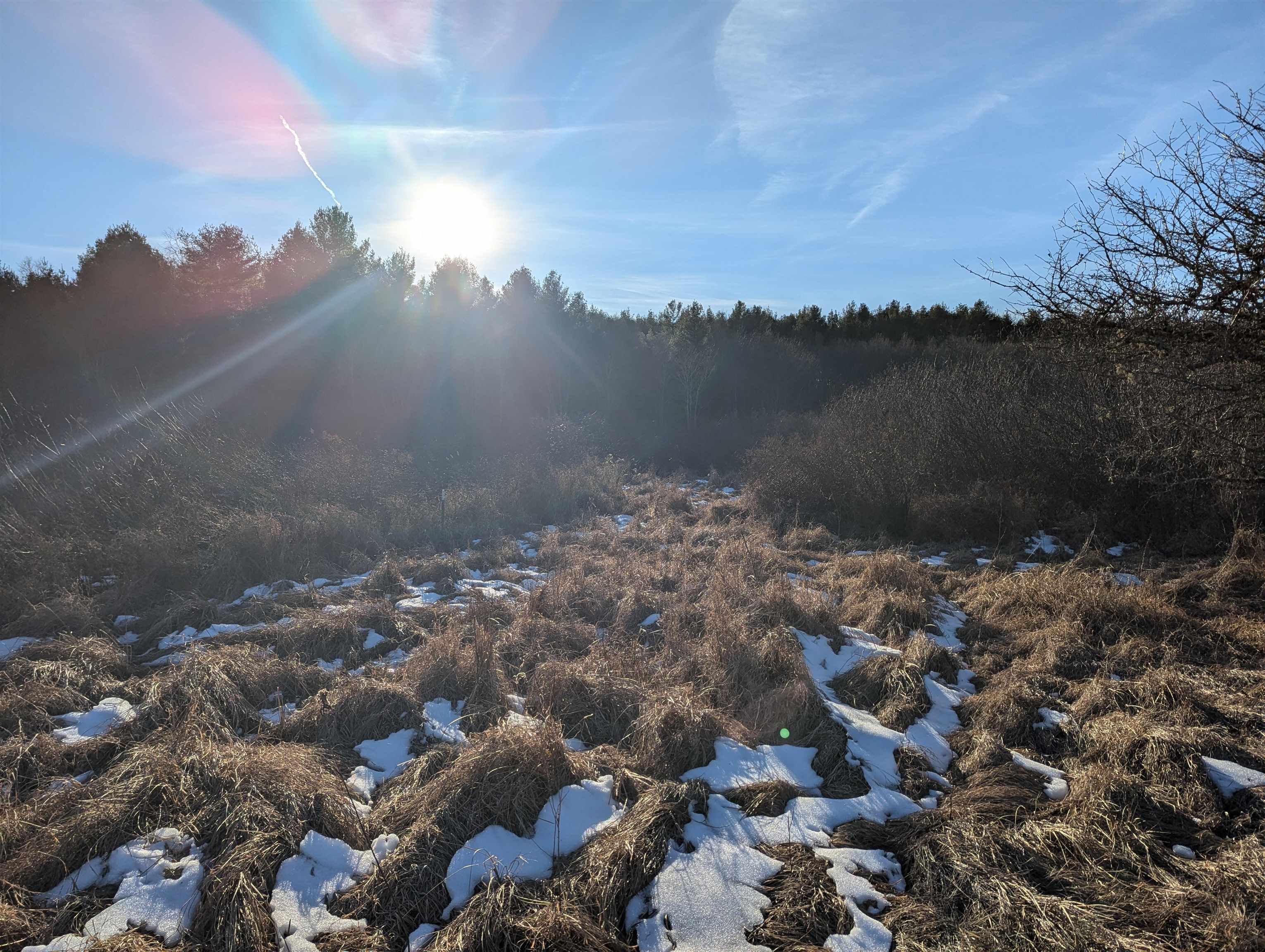 Tbd Firehouse Road Willis VA 24380