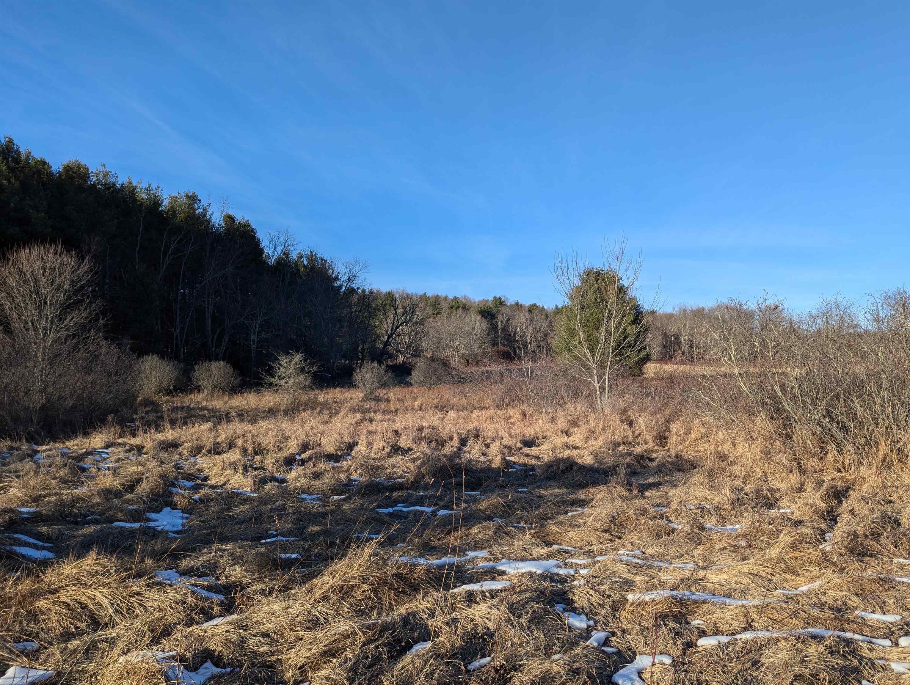 Tbd Firehouse Road Willis VA 24380