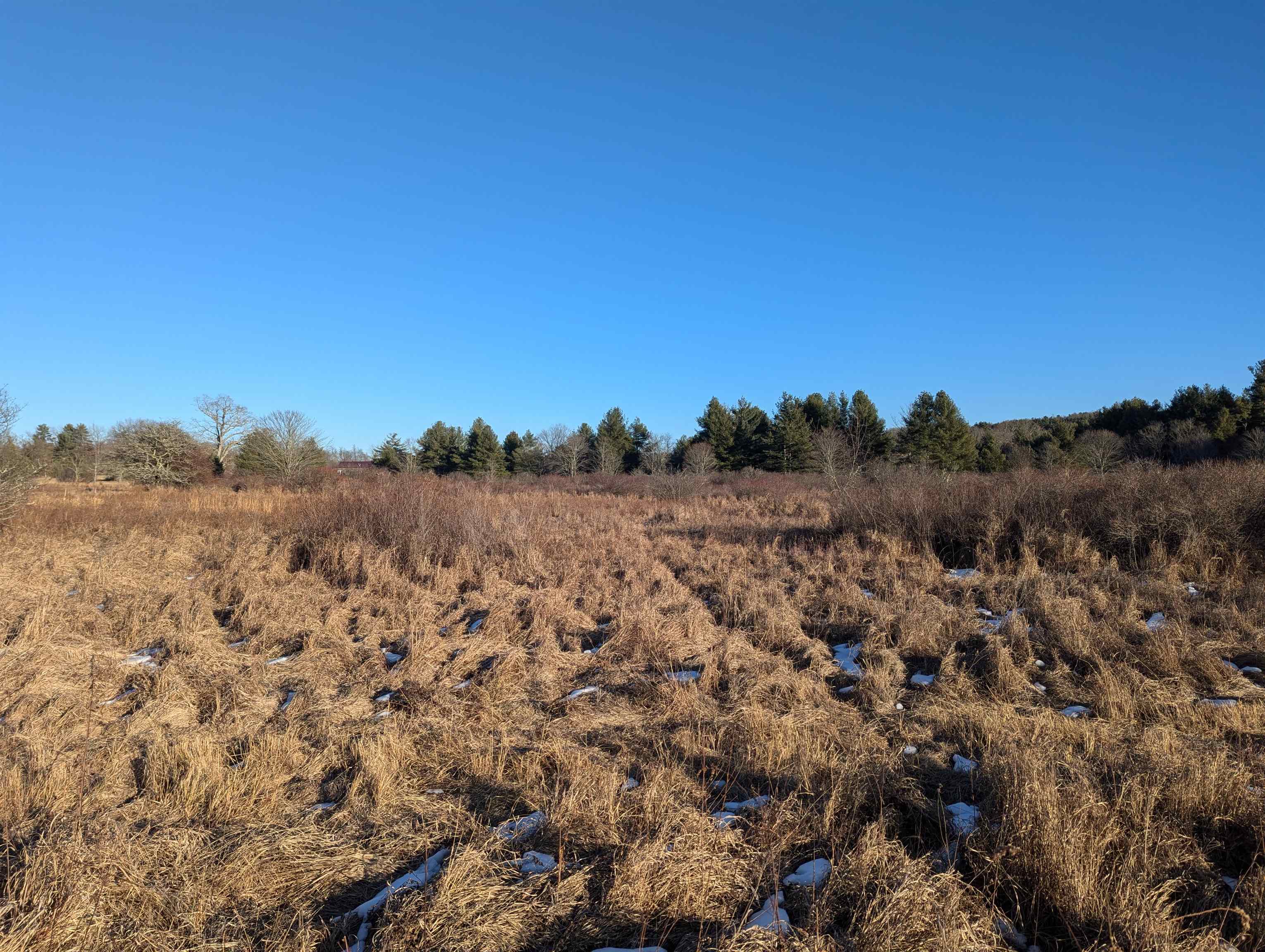 Tbd Firehouse Road Willis VA 24380