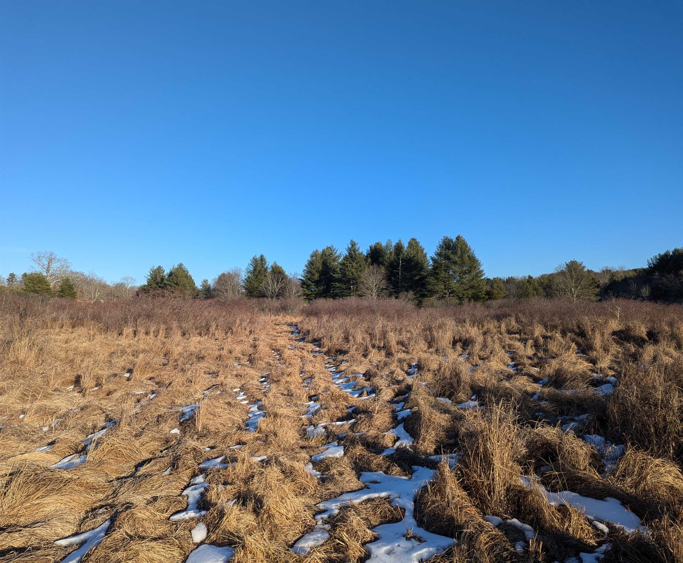 Tbd Firehouse Road Willis VA 24380