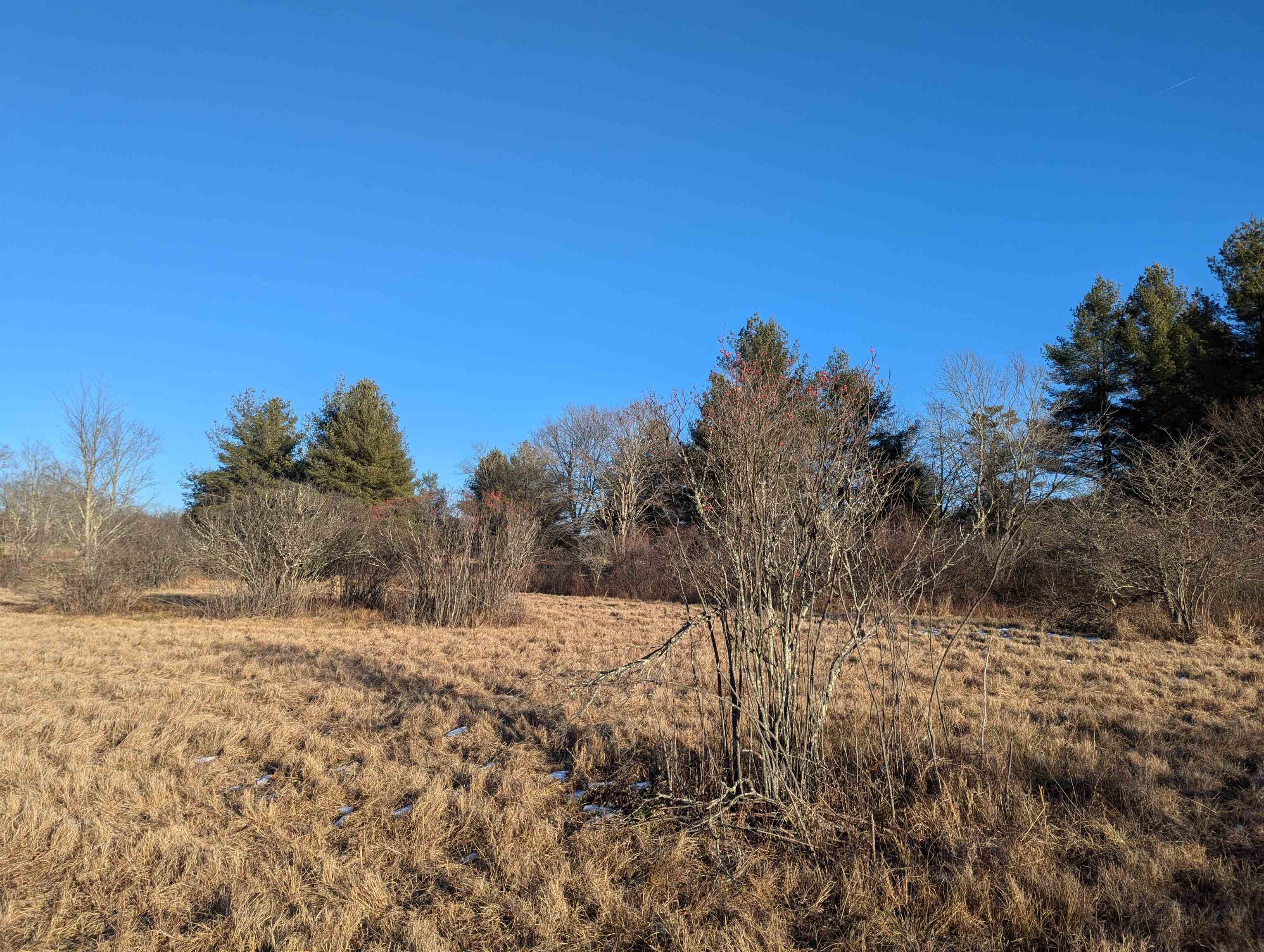 Tbd Firehouse Road Willis VA 24380