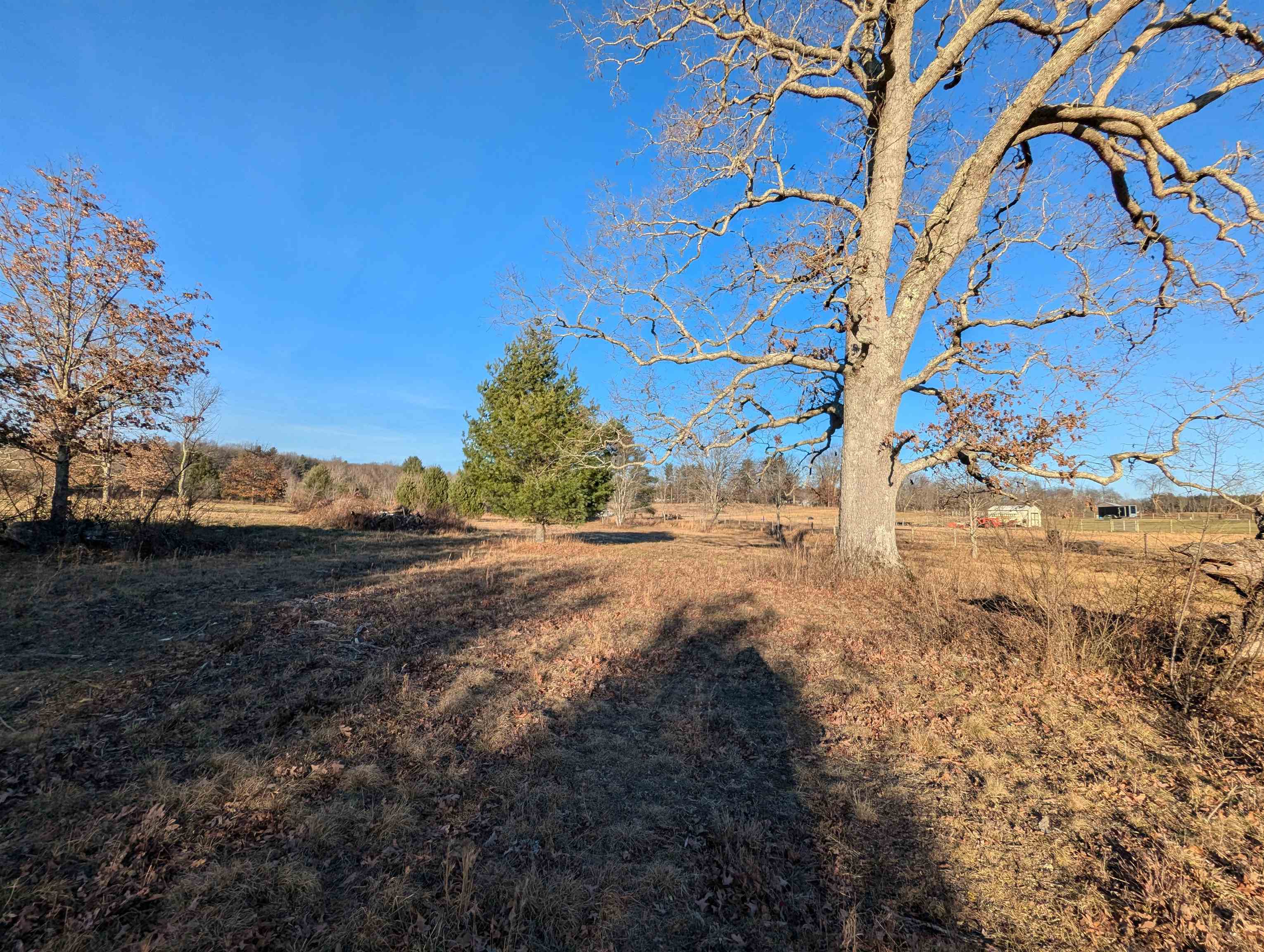 Tbd Firehouse Road Willis VA 24380