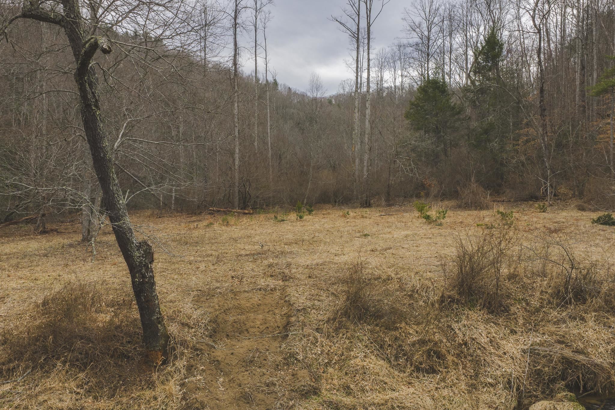 Tbd Peacock Drive Hillsville VA 24343