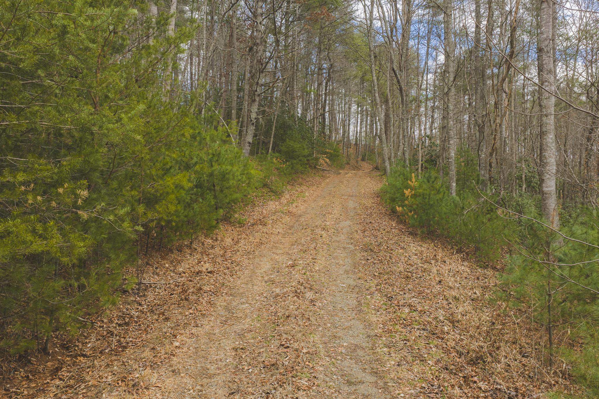Tbd Peacock Drive Hillsville VA 24343