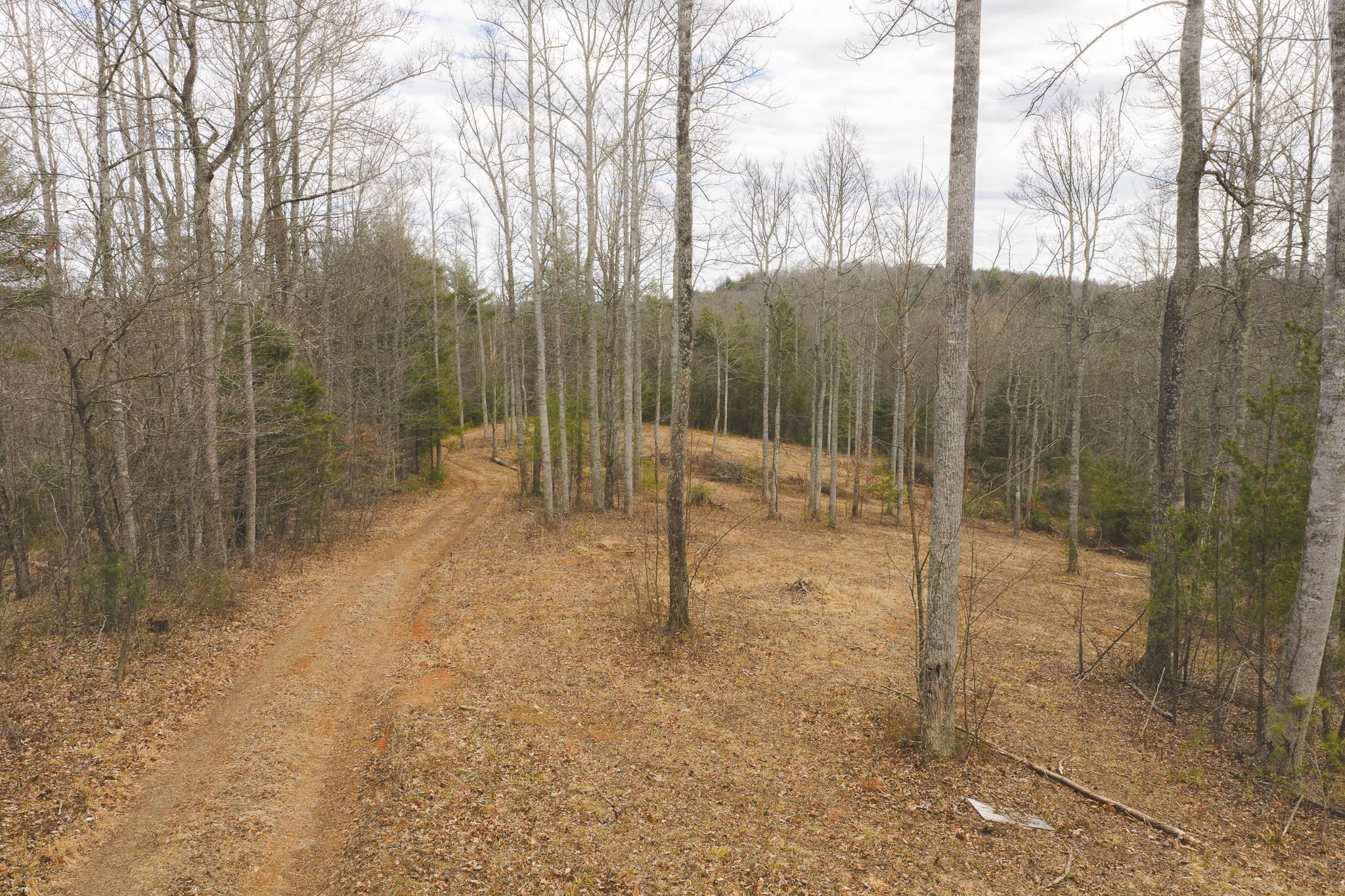 Tbd Peacock Drive Hillsville VA 24343