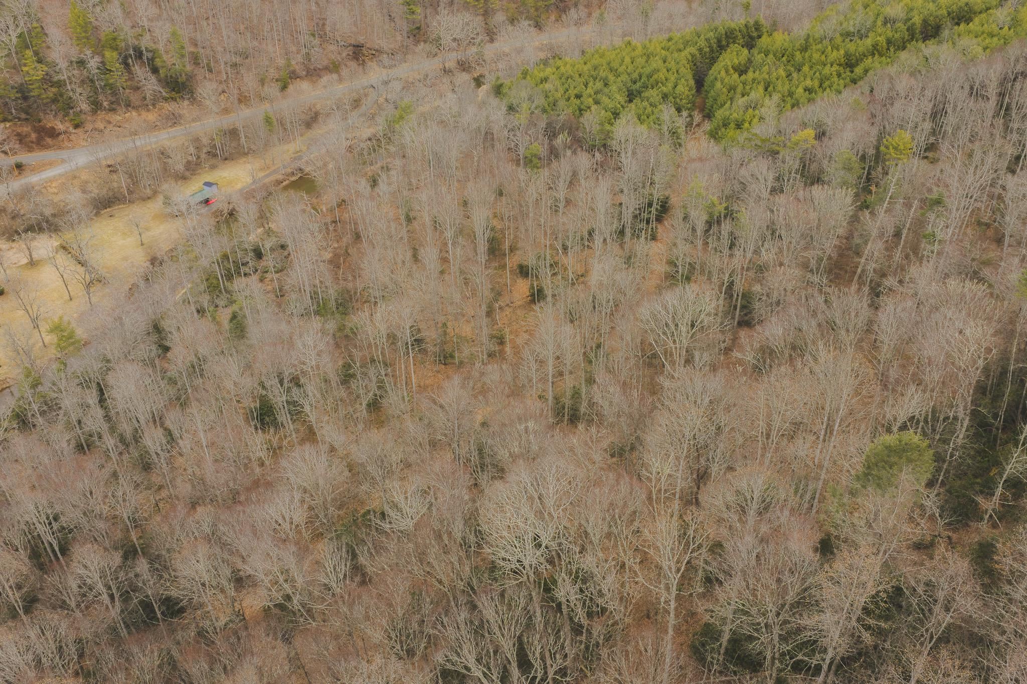 Tbd Peacock Drive Hillsville VA 24343