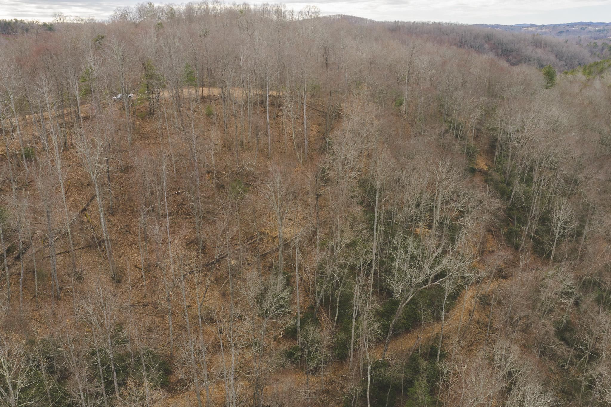 Tbd Peacock Drive Hillsville VA 24343