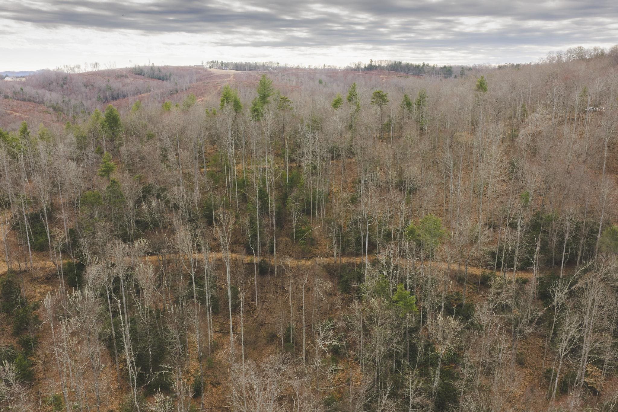 Tbd Peacock Drive Hillsville VA 24343