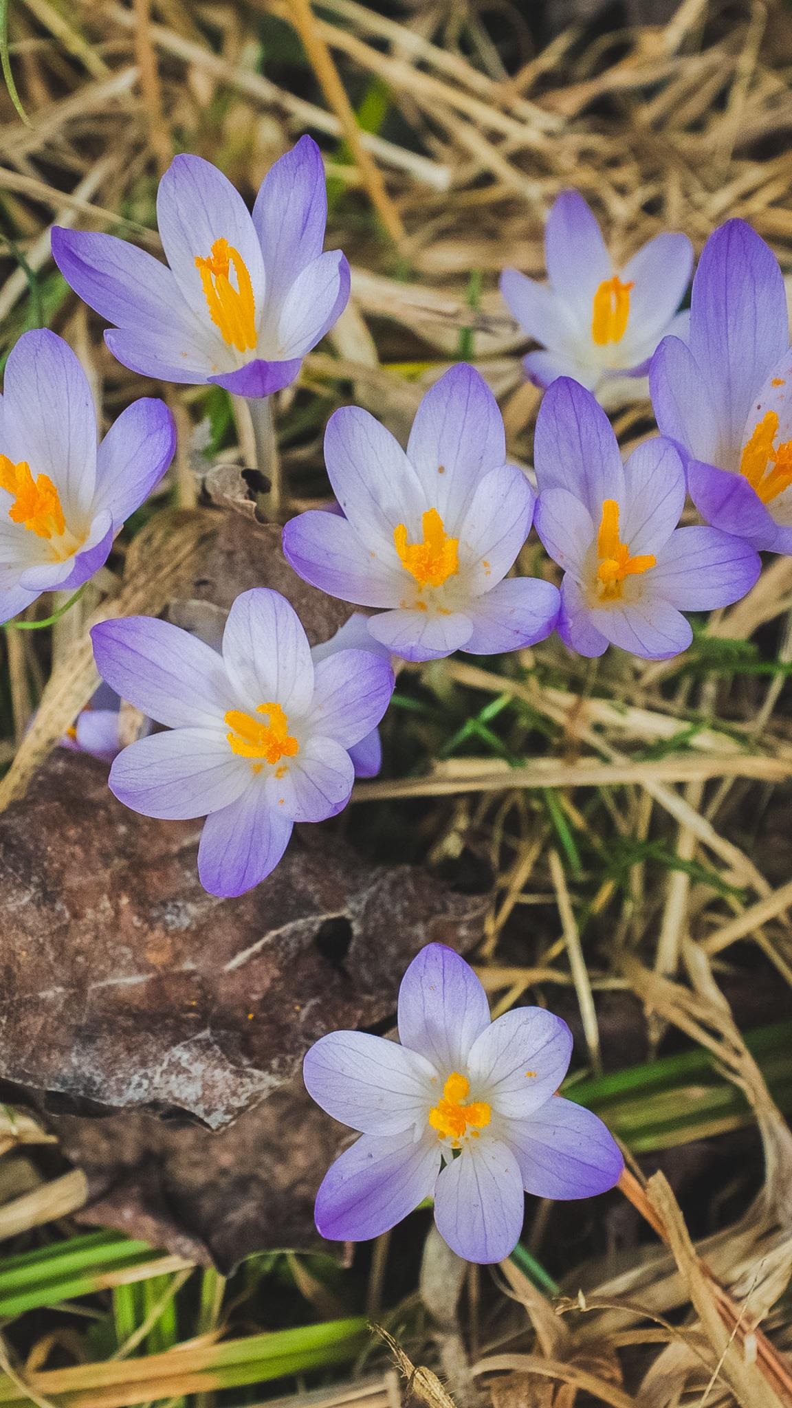 Tbd Peacock Drive Hillsville VA 24343