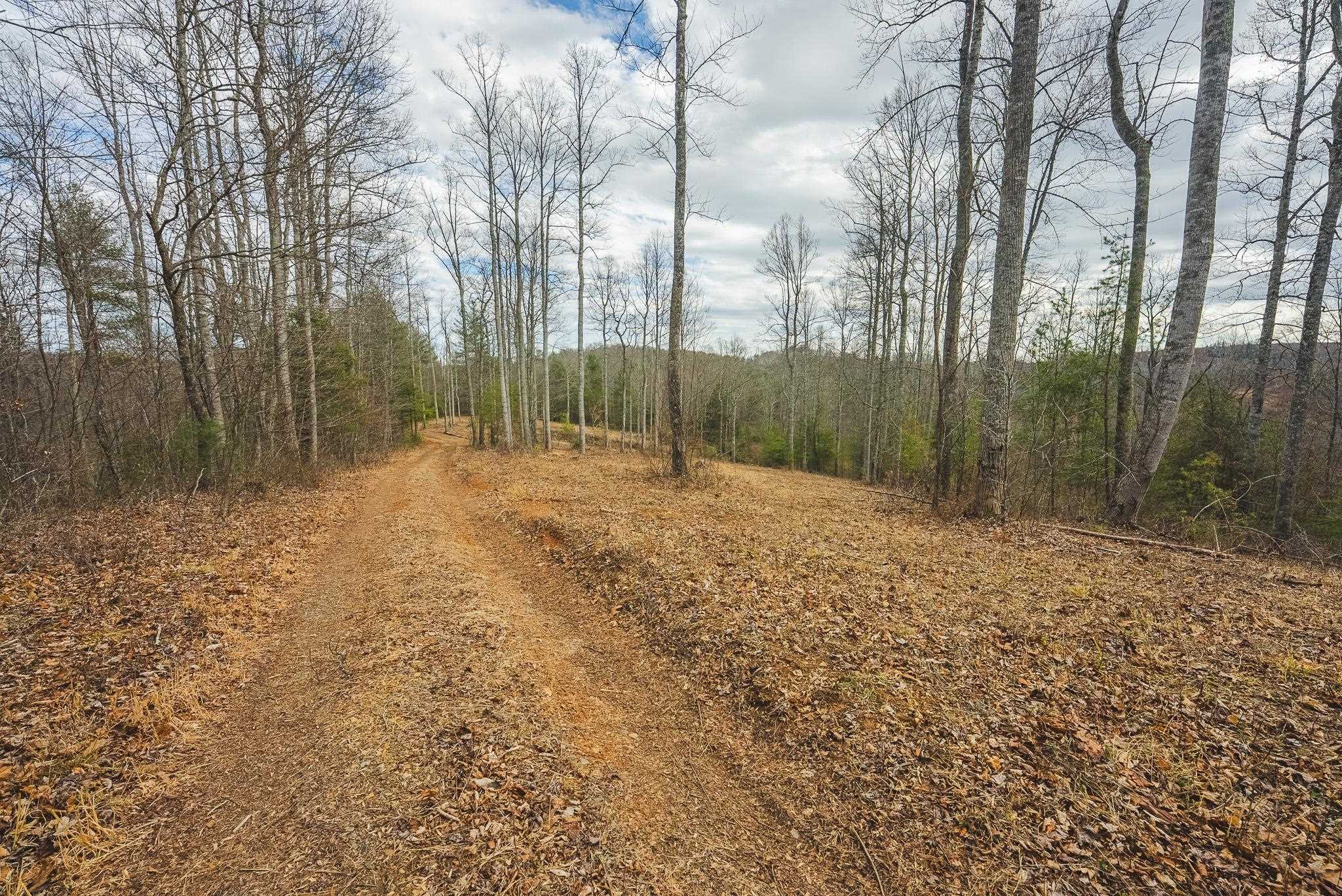 Tbd Peacock Drive Hillsville VA 24343