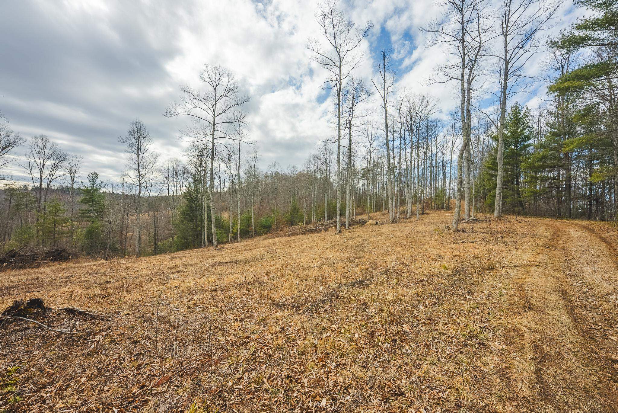 Tbd Peacock Drive Hillsville VA 24343