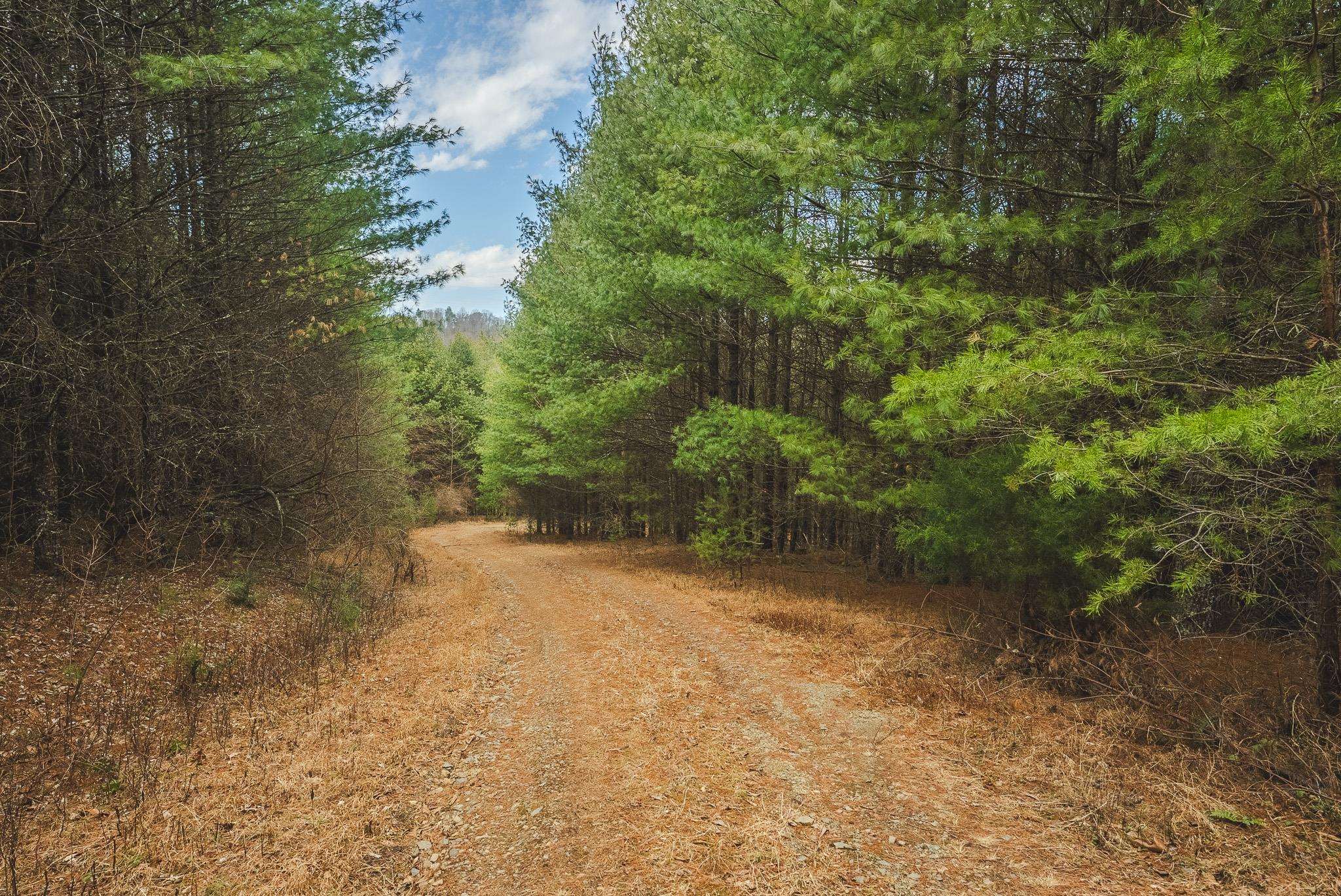 Tbd Peacock Drive Hillsville VA 24343