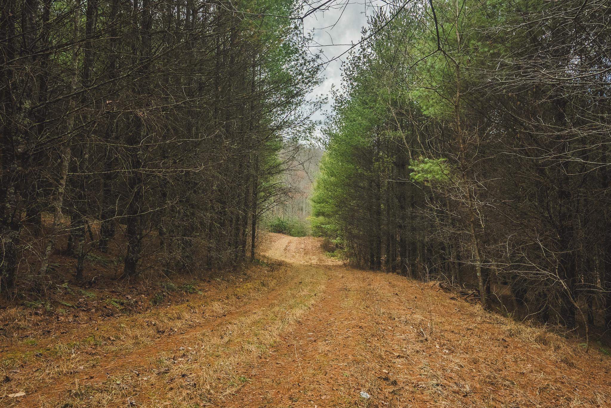 Tbd Peacock Drive Hillsville VA 24343