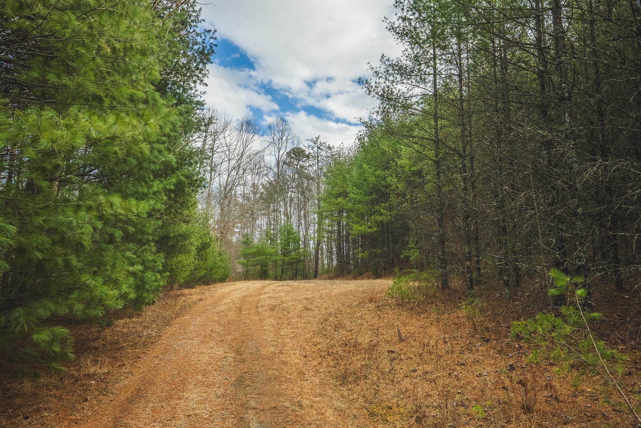 Tbd Peacock Drive Hillsville VA 24343