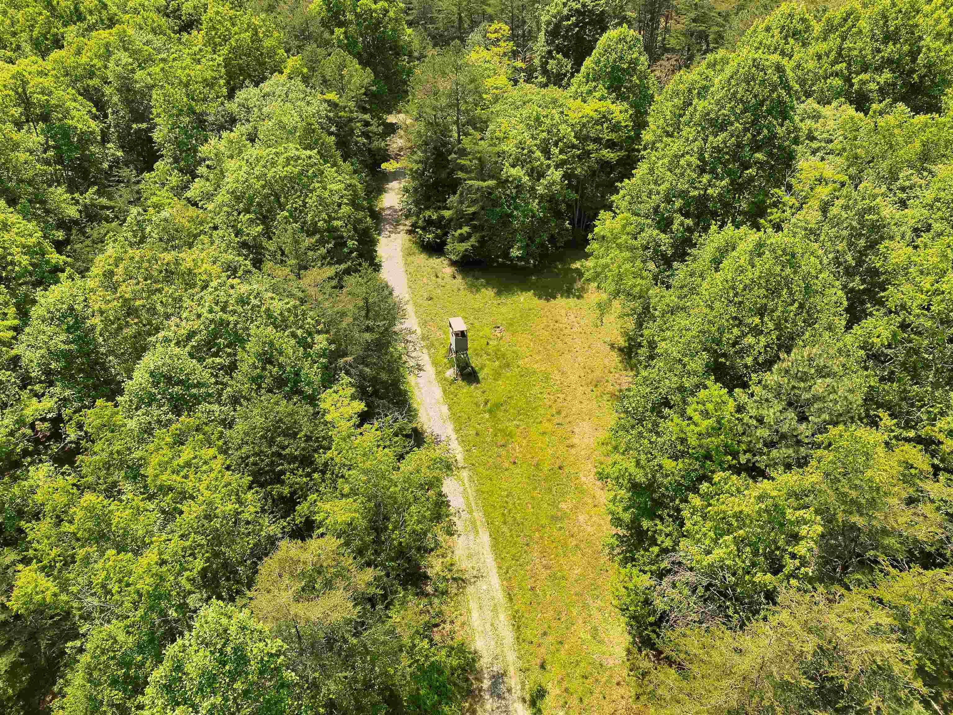 Tbd Southside Road New Castle VA 24127