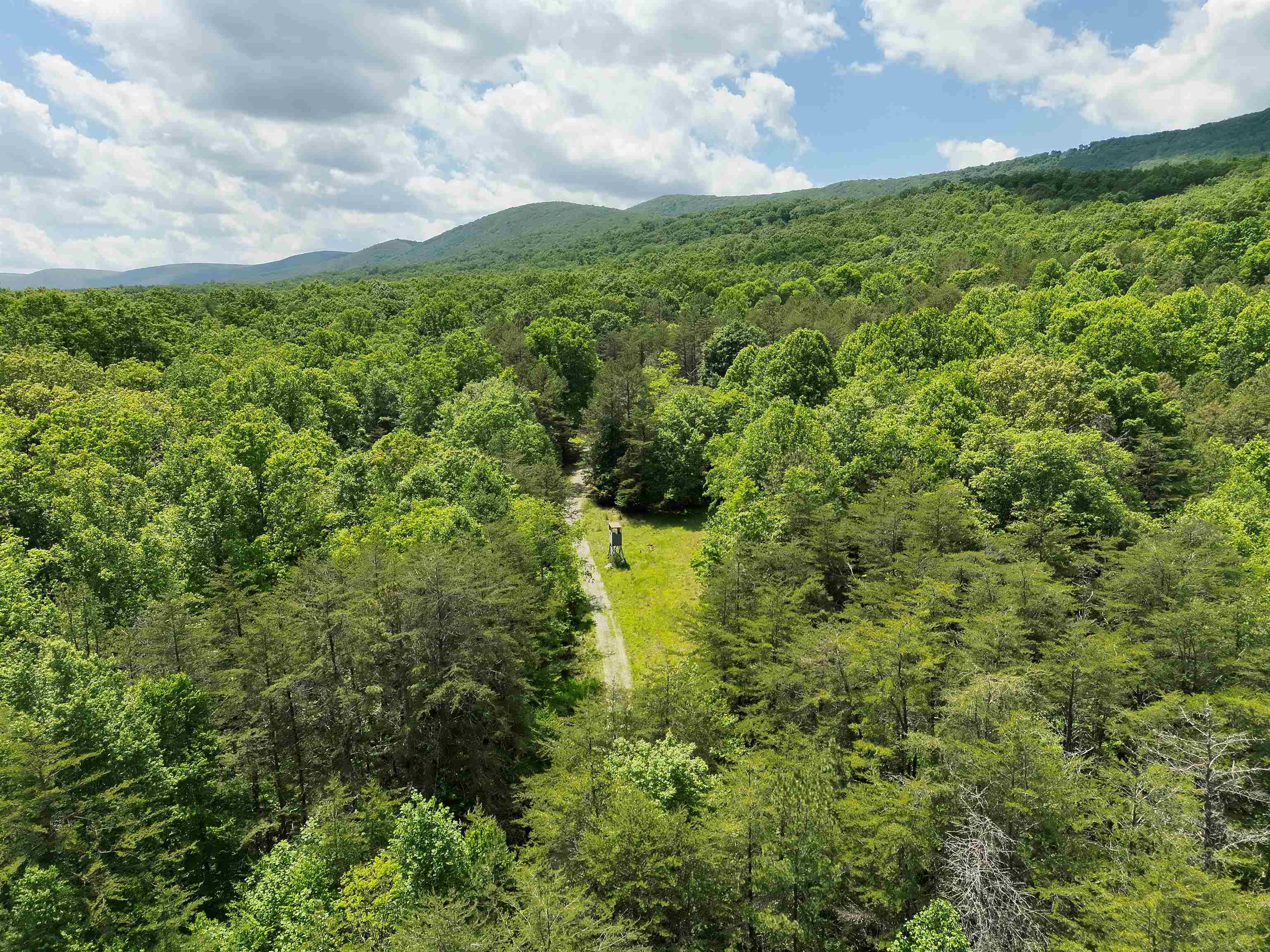Tbd Southside Road New Castle VA 24127