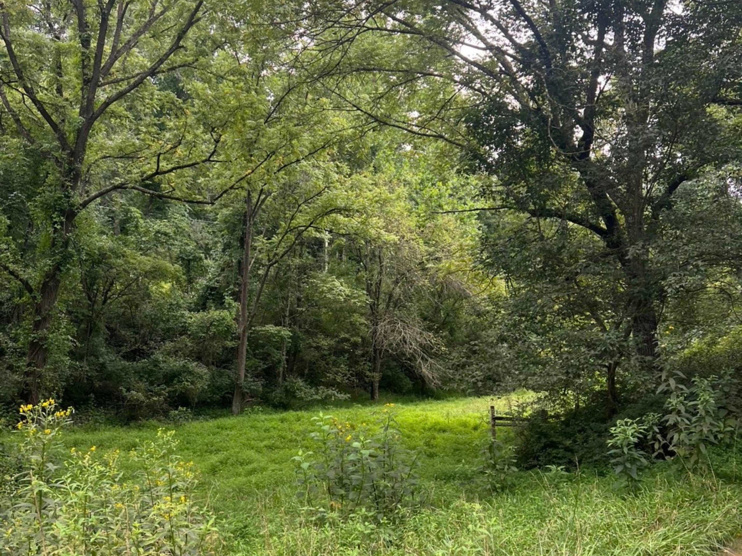 104 Mount Fern Lane Pearisburg VA 24134