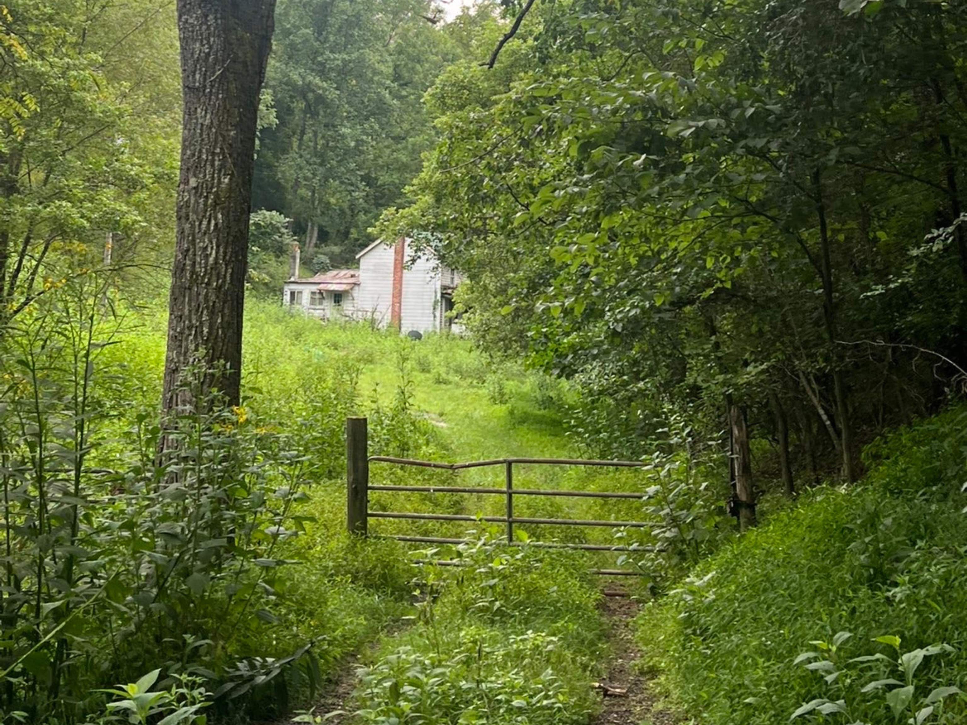 104 Mount Fern Lane Pearisburg VA 24134