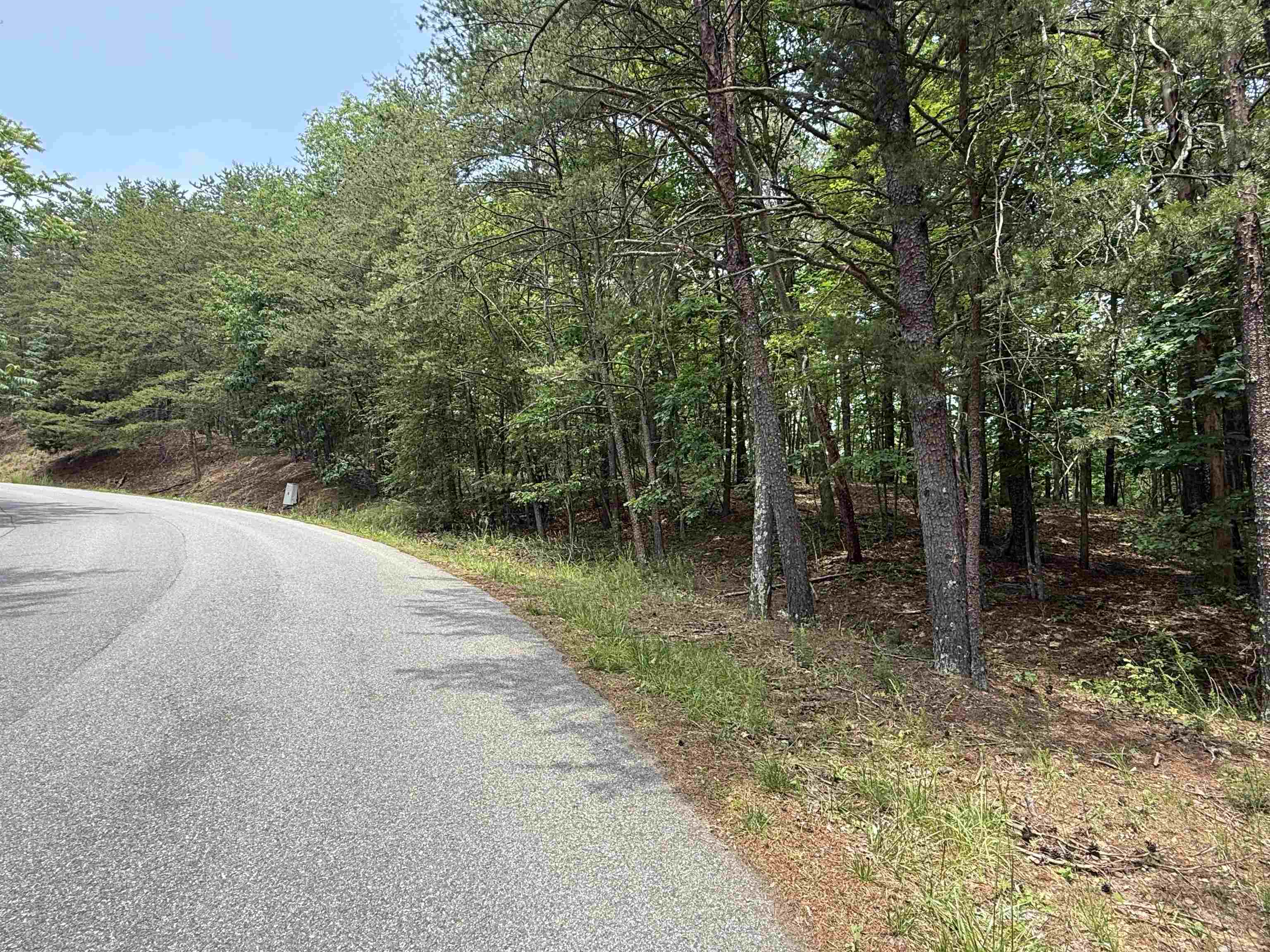 Tbd Laurel Mountain Drive Salem VA 24153