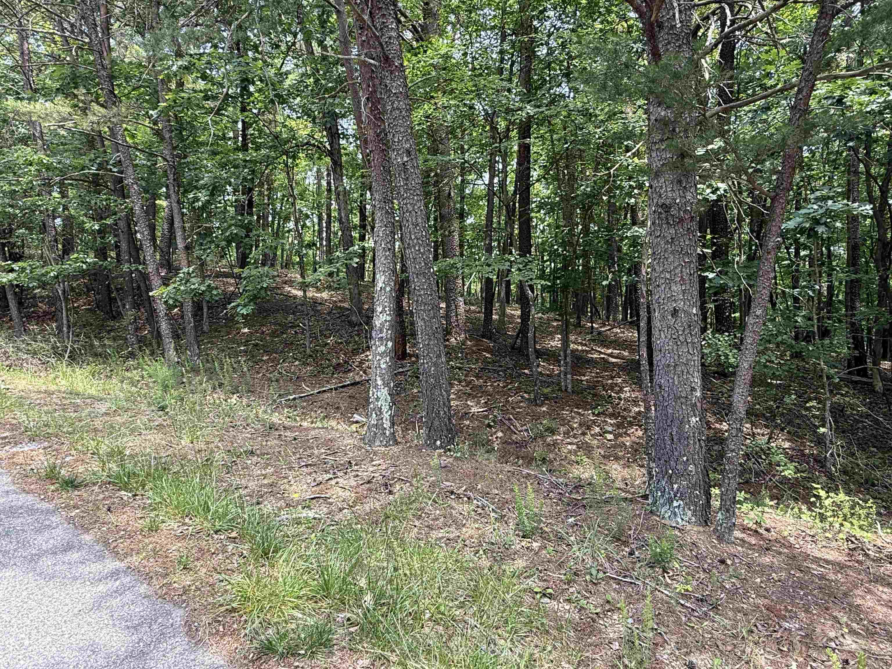 Tbd Laurel Mountain Drive Salem VA 24153