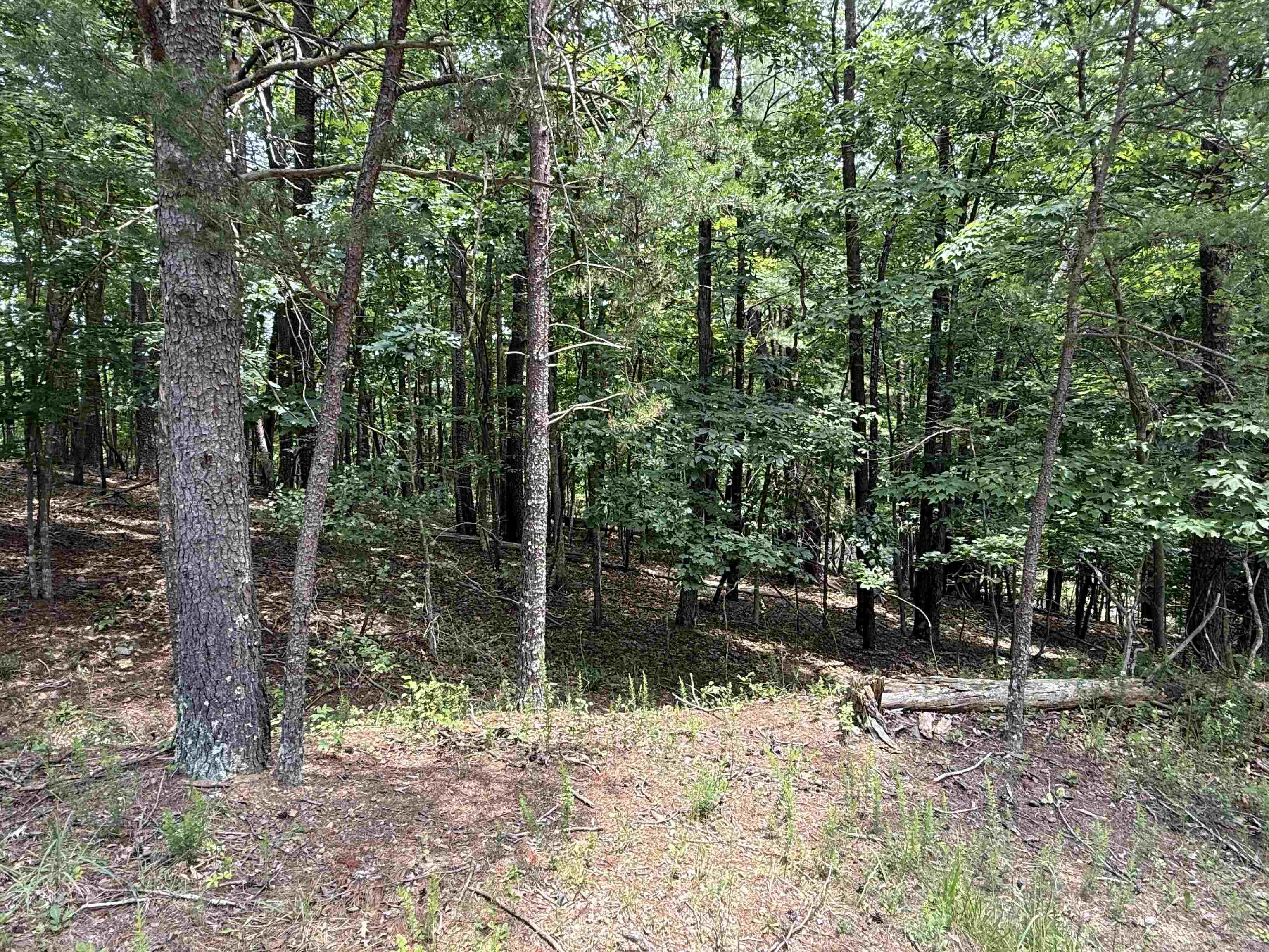 Tbd Laurel Mountain Drive Salem VA 24153