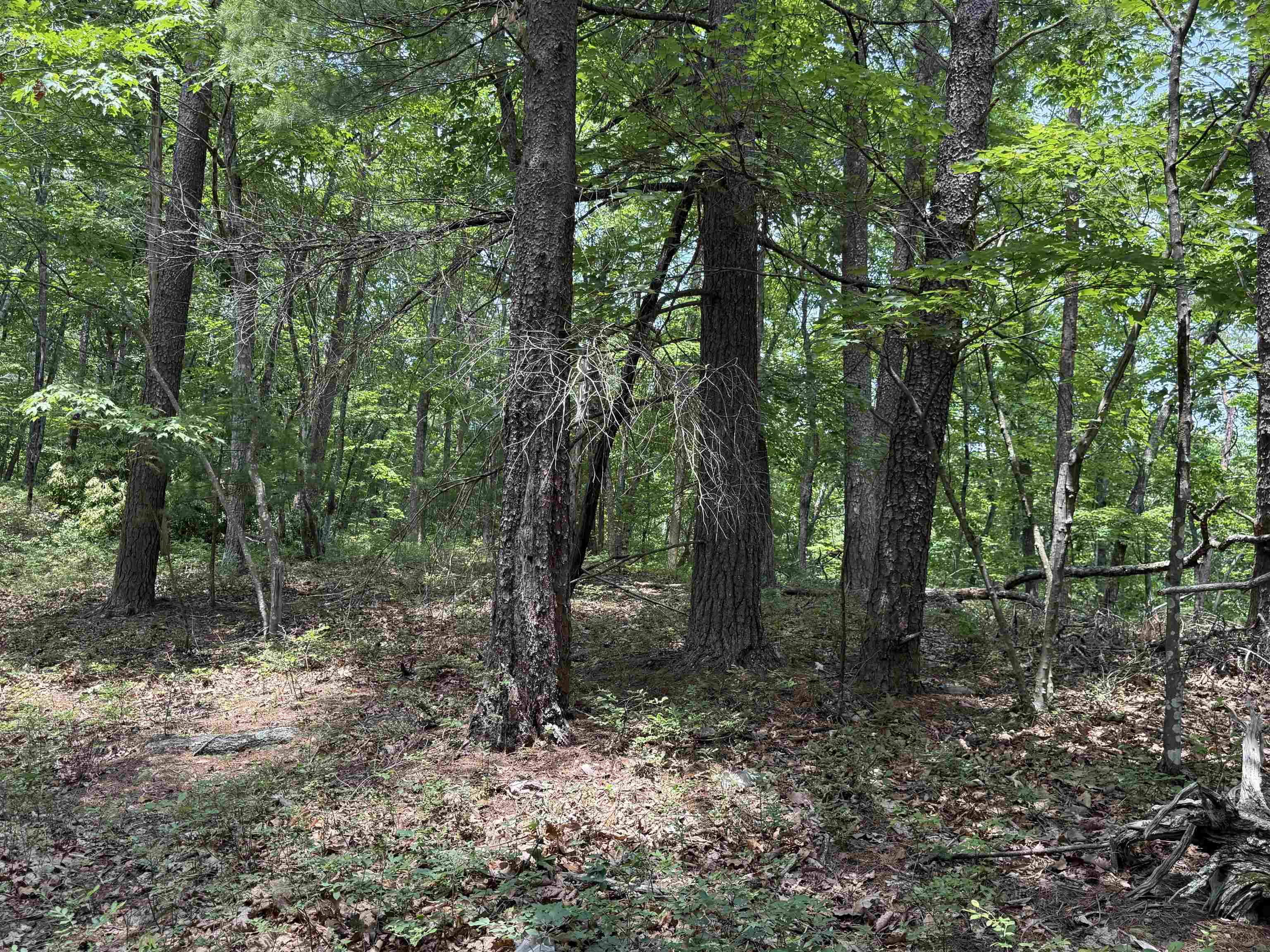 Tbd Laurel Mountain Drive Salem VA 24153