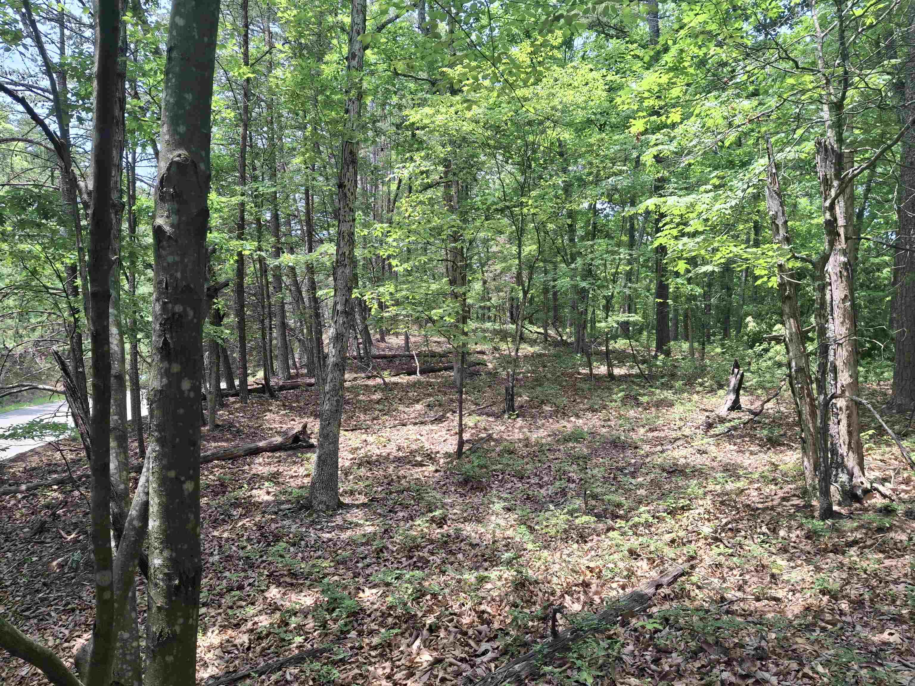 Tbd Laurel Mountain Drive Salem VA 24153