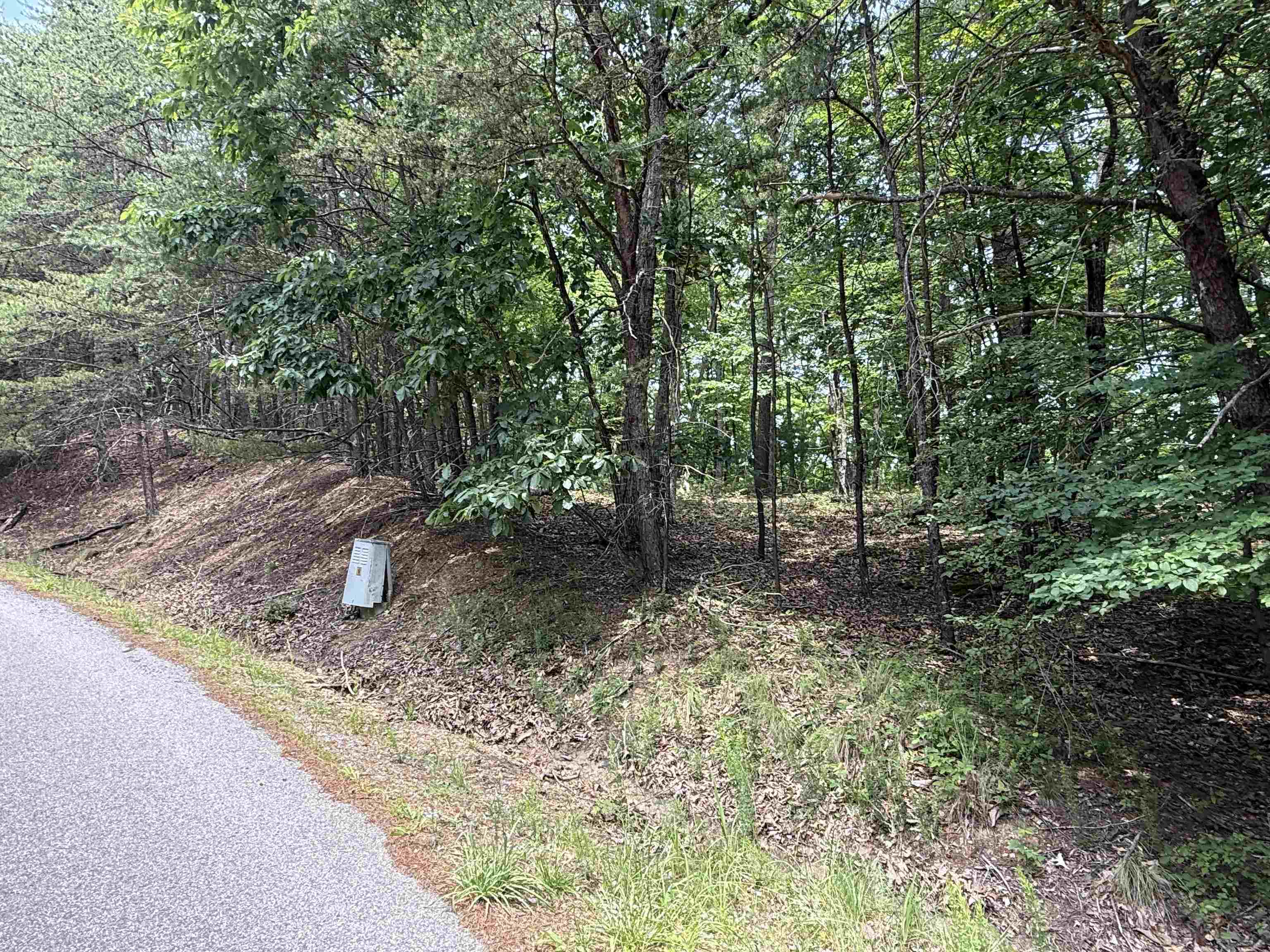 Tbd Laurel Mountain Drive Salem VA 24153