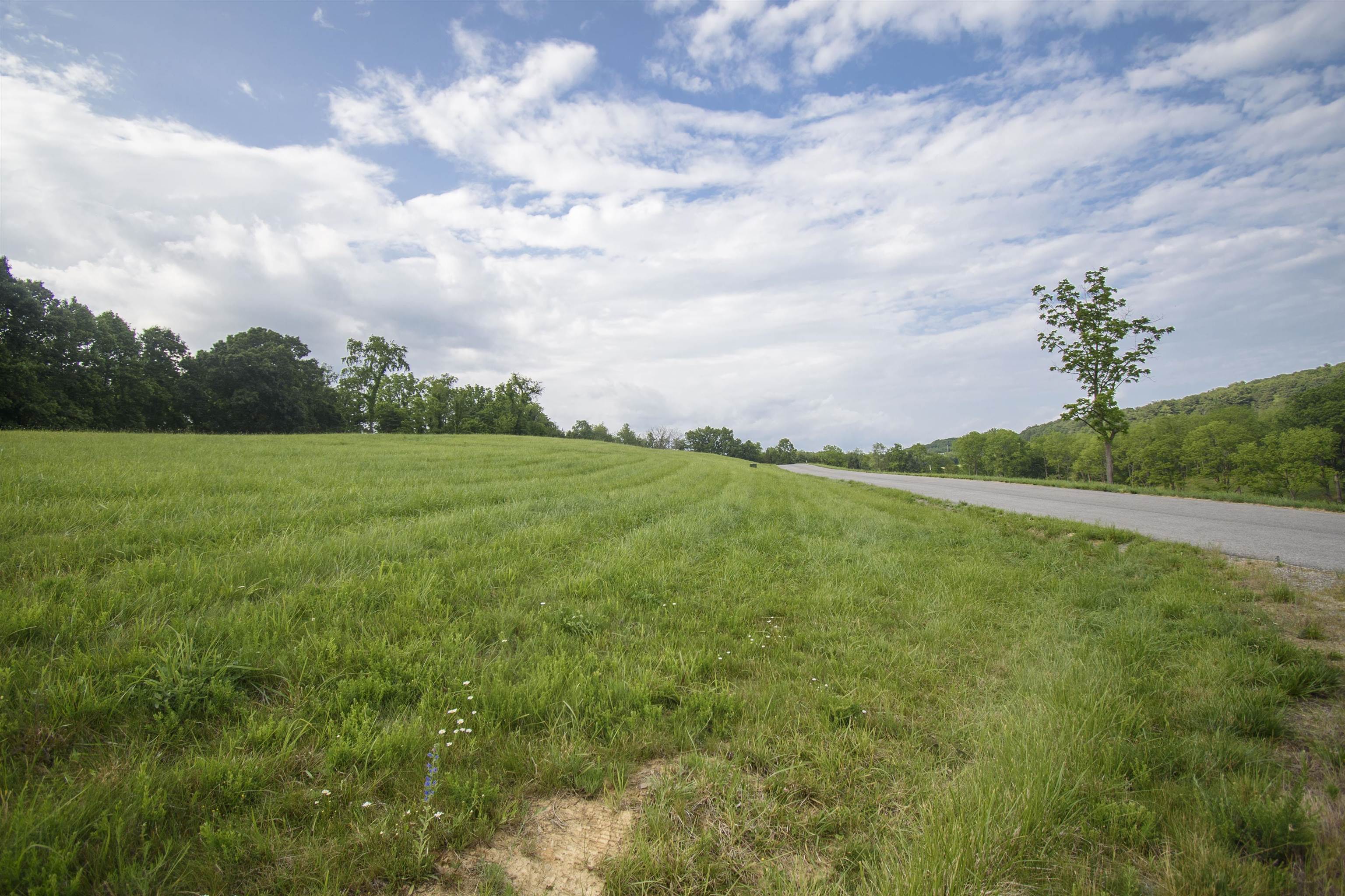 Tbd Tanager Lot 3 Cove Dublin VA 24084