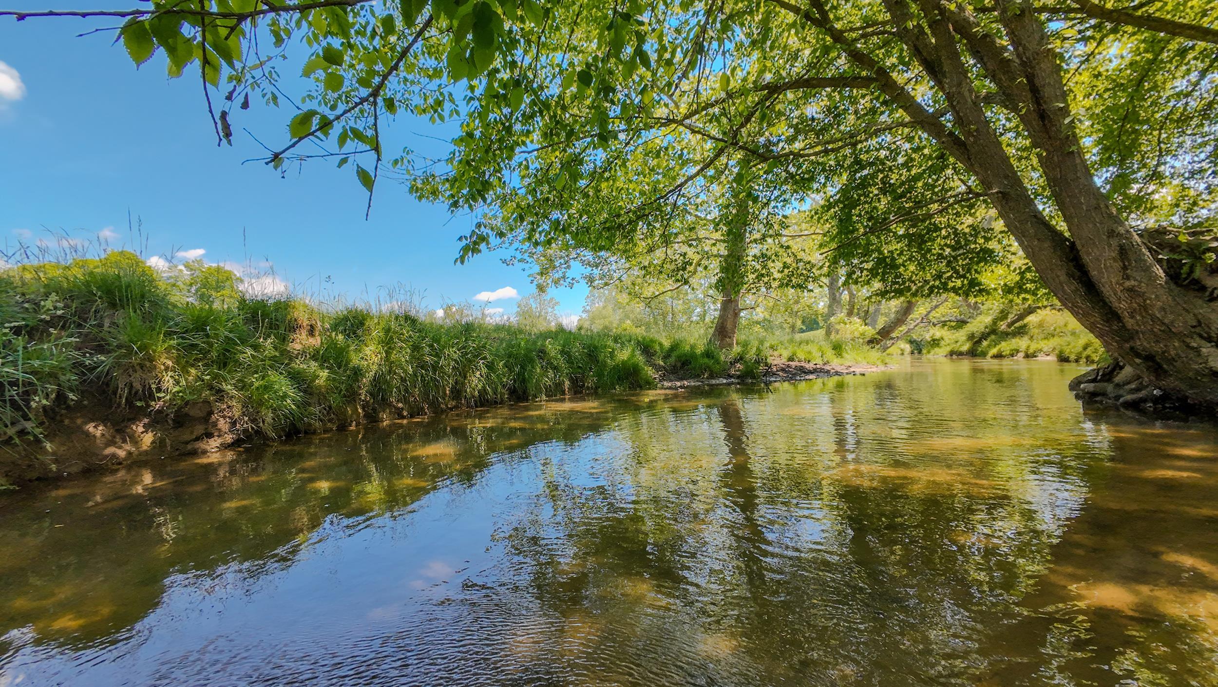 1801 Toms Creek Road Blacksburg VA 24060