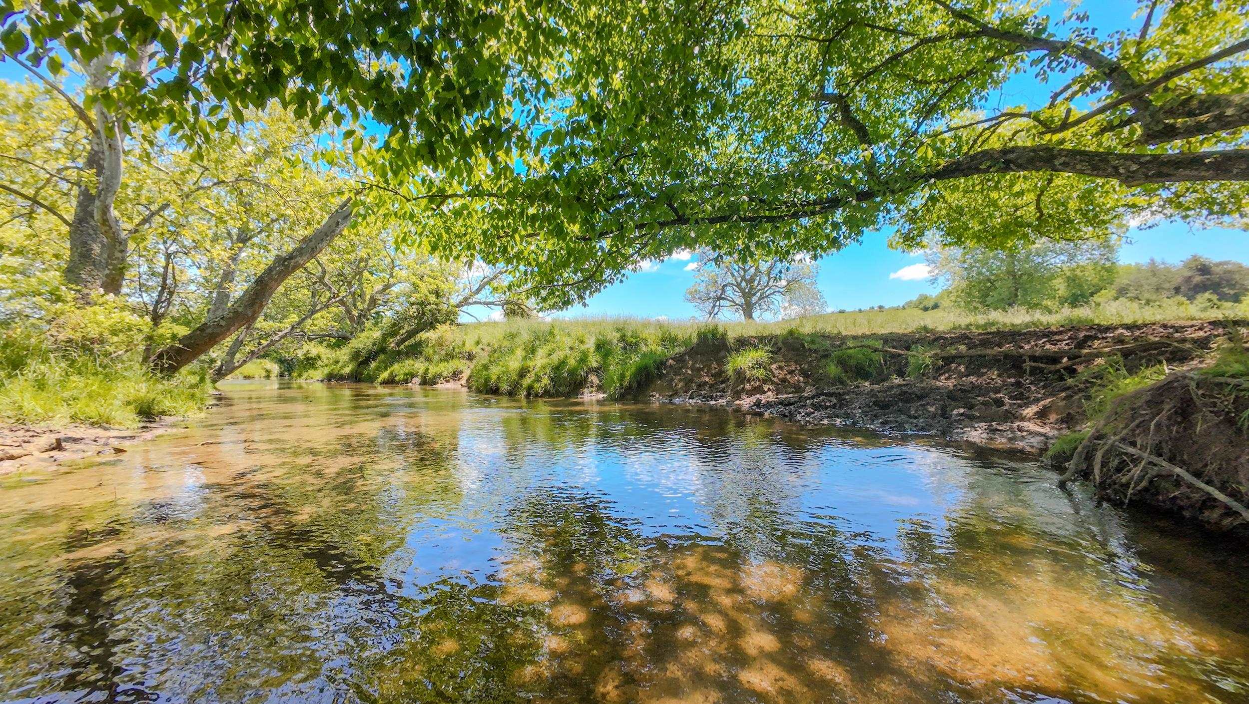 1801 Toms Creek Road Blacksburg VA 24060