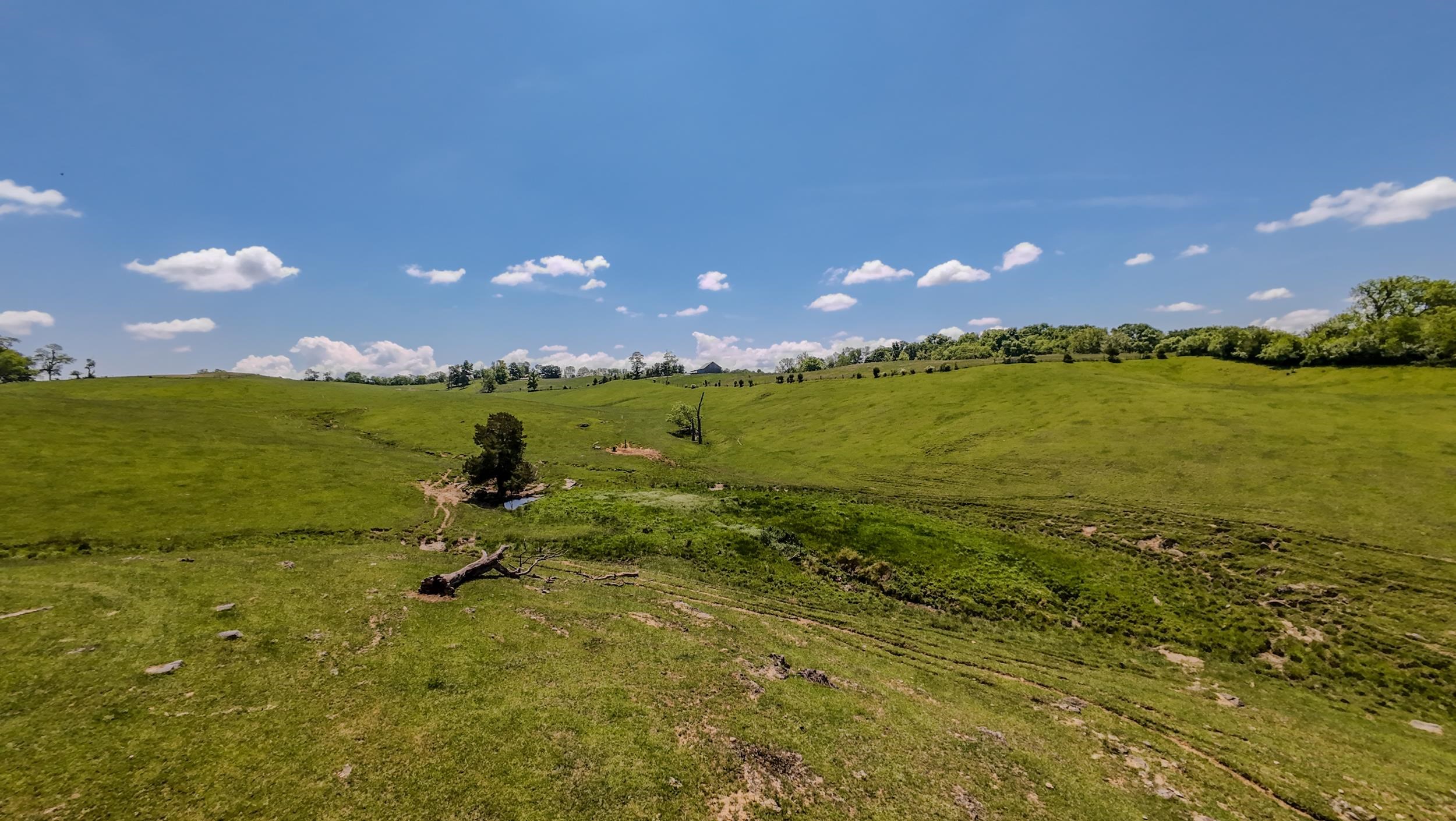 1801 Toms Creek Road Blacksburg VA 24060